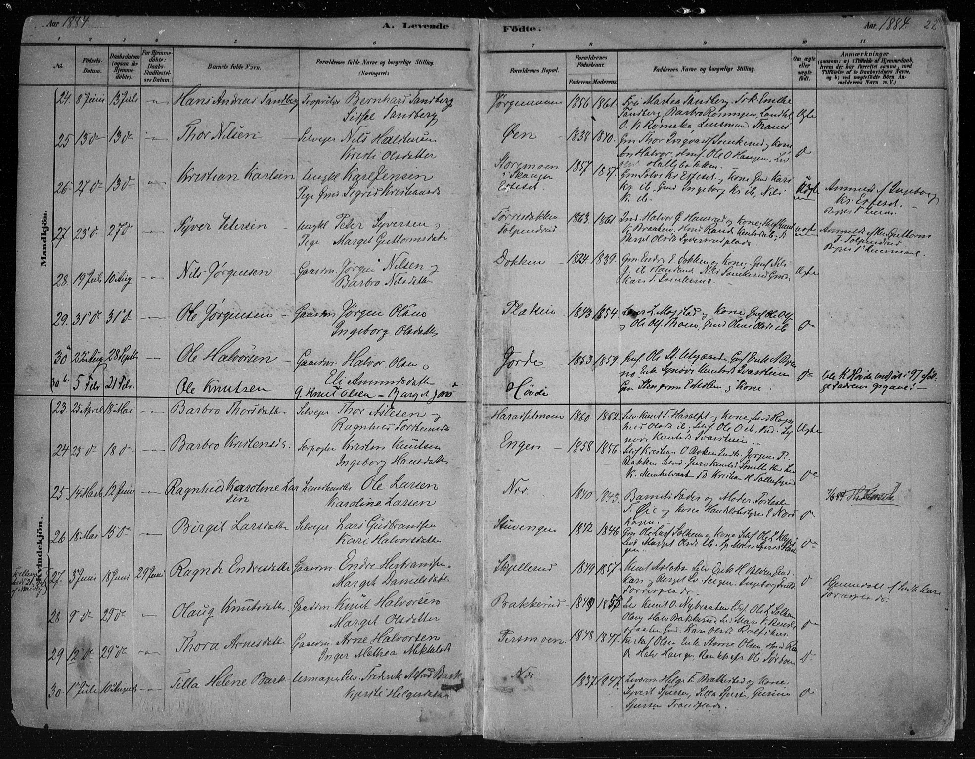 Nes kirkebøker, AV/SAKO-A-236/F/Fa/L0011: Parish register (official) no. 11, 1881-1912, p. 22