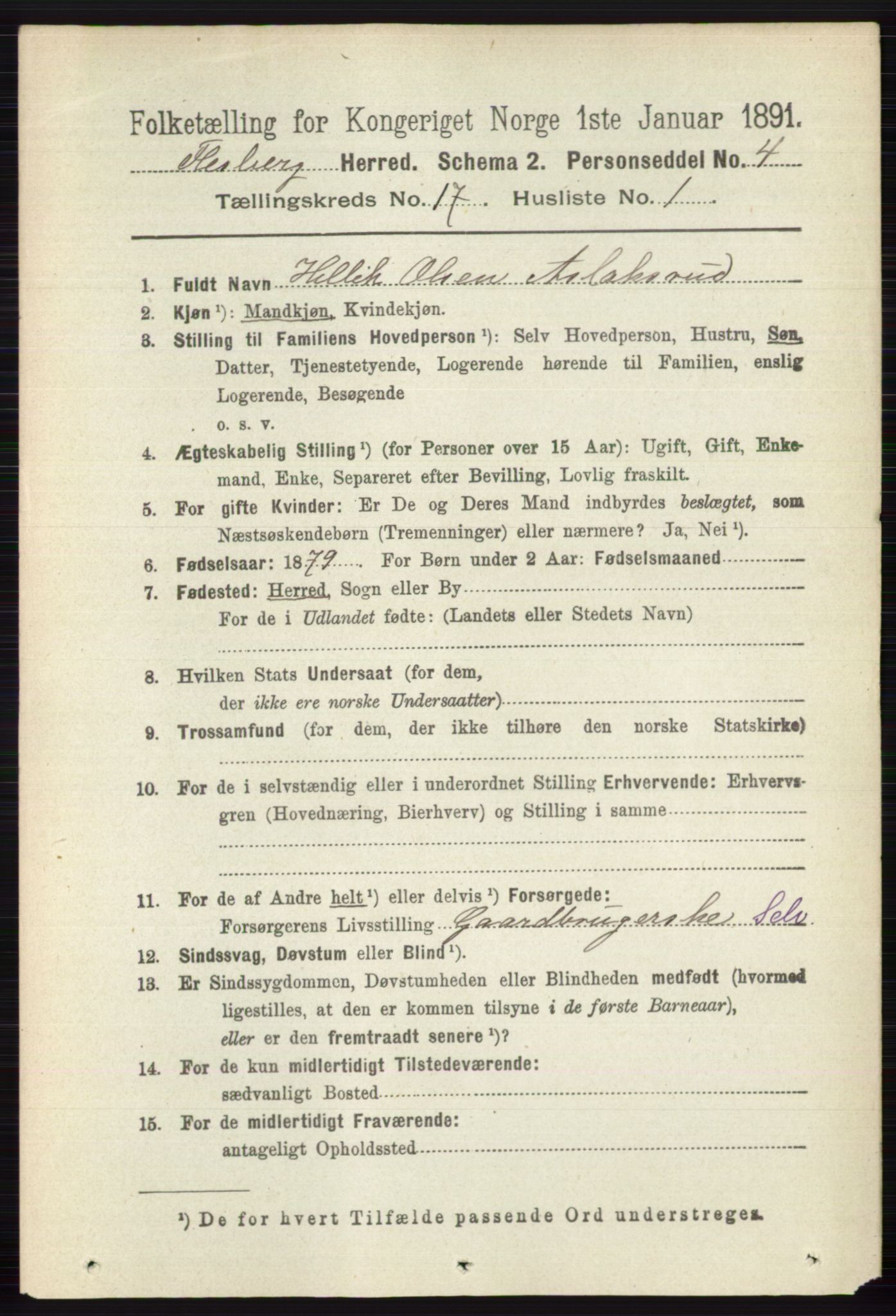 RA, 1891 census for 0631 Flesberg, 1891, p. 2990