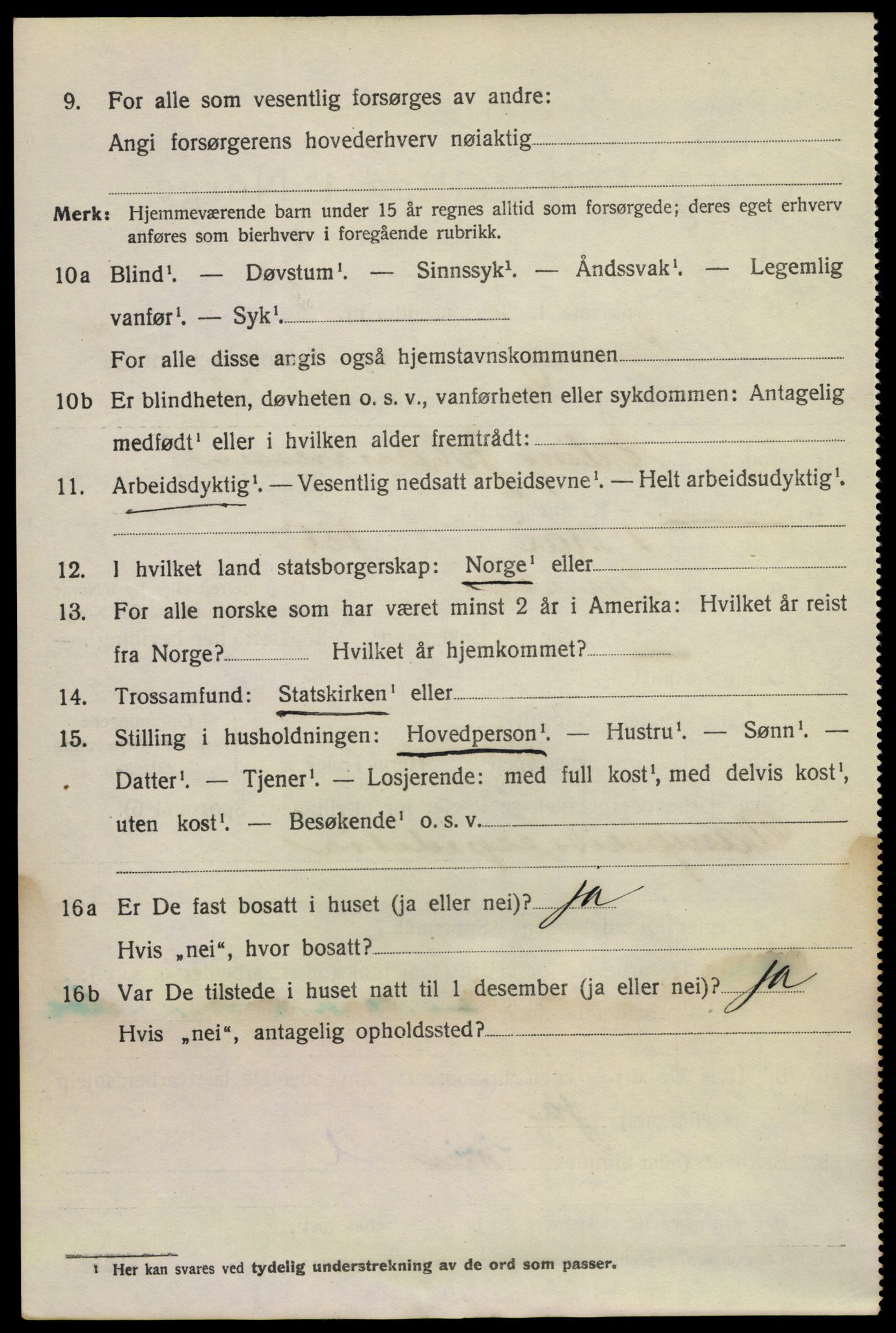 SAKO, 1920 census for Larvik, 1920, p. 21175