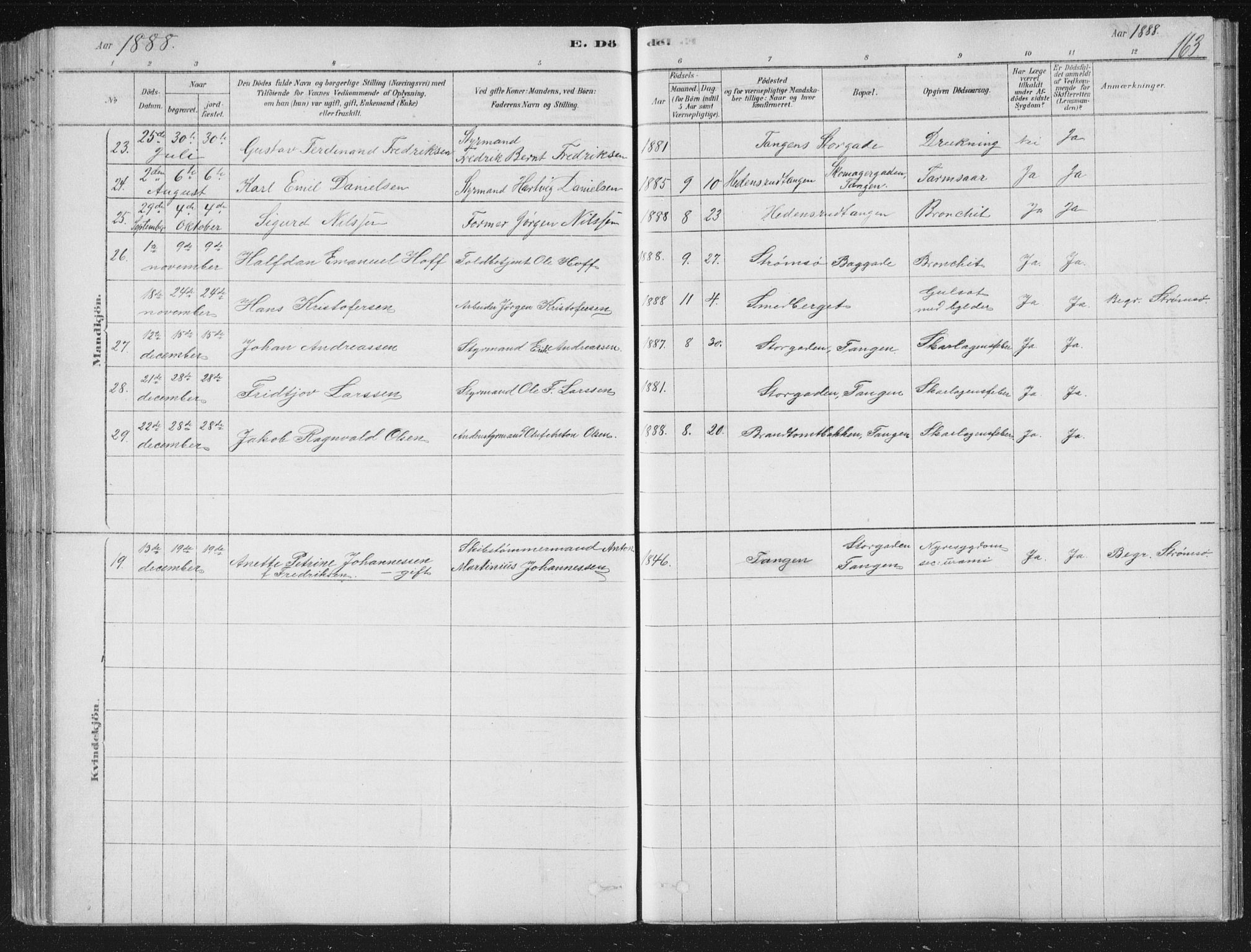 Strømsø kirkebøker, AV/SAKO-A-246/F/Fb/L0005: Parish register (official) no. II 5, 1877-1902, p. 163