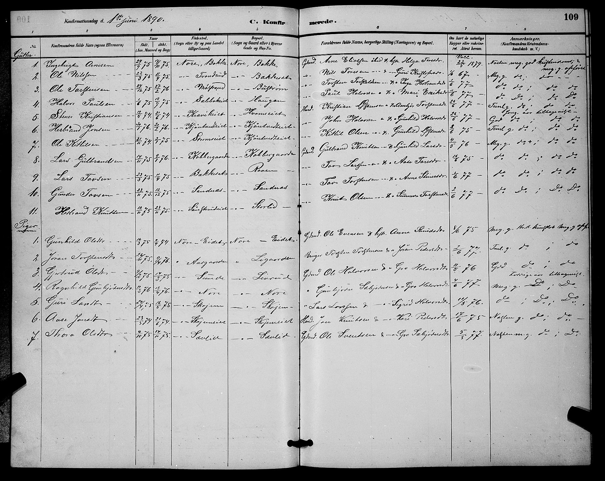 Nore kirkebøker, SAKO/A-238/G/Ga/L0003: Parish register (copy) no. I 3, 1886-1903, p. 109