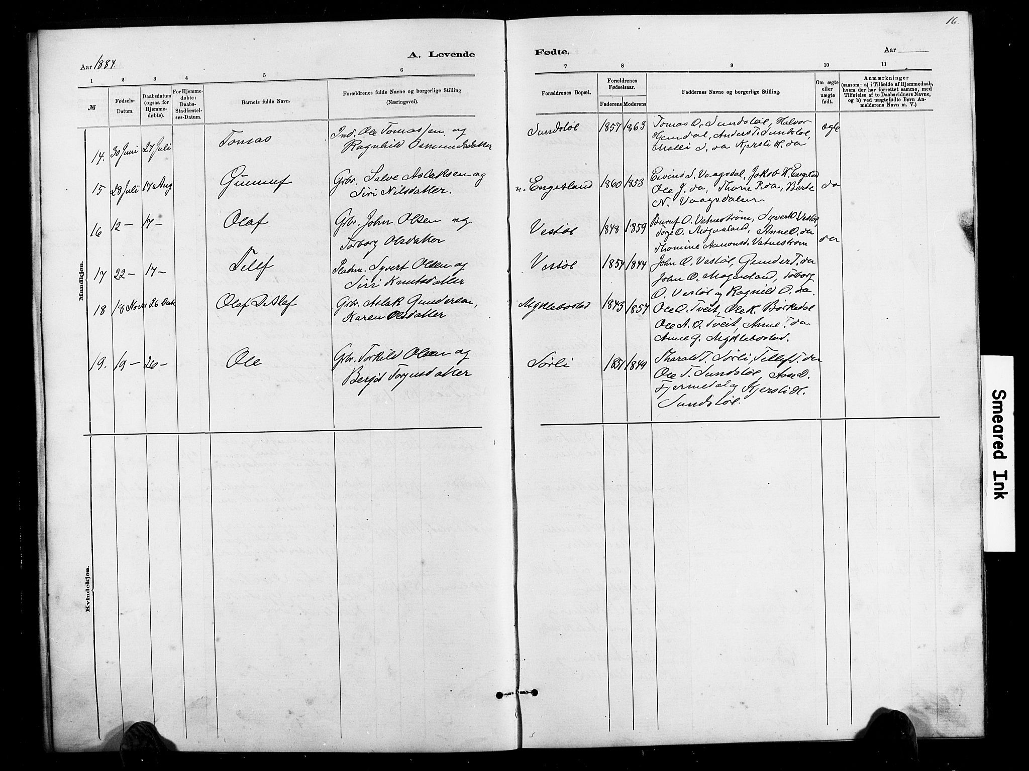 Herefoss sokneprestkontor, AV/SAK-1111-0019/F/Fb/Fbb/L0002: Parish register (copy) no. B 2, 1879-1894, p. 16