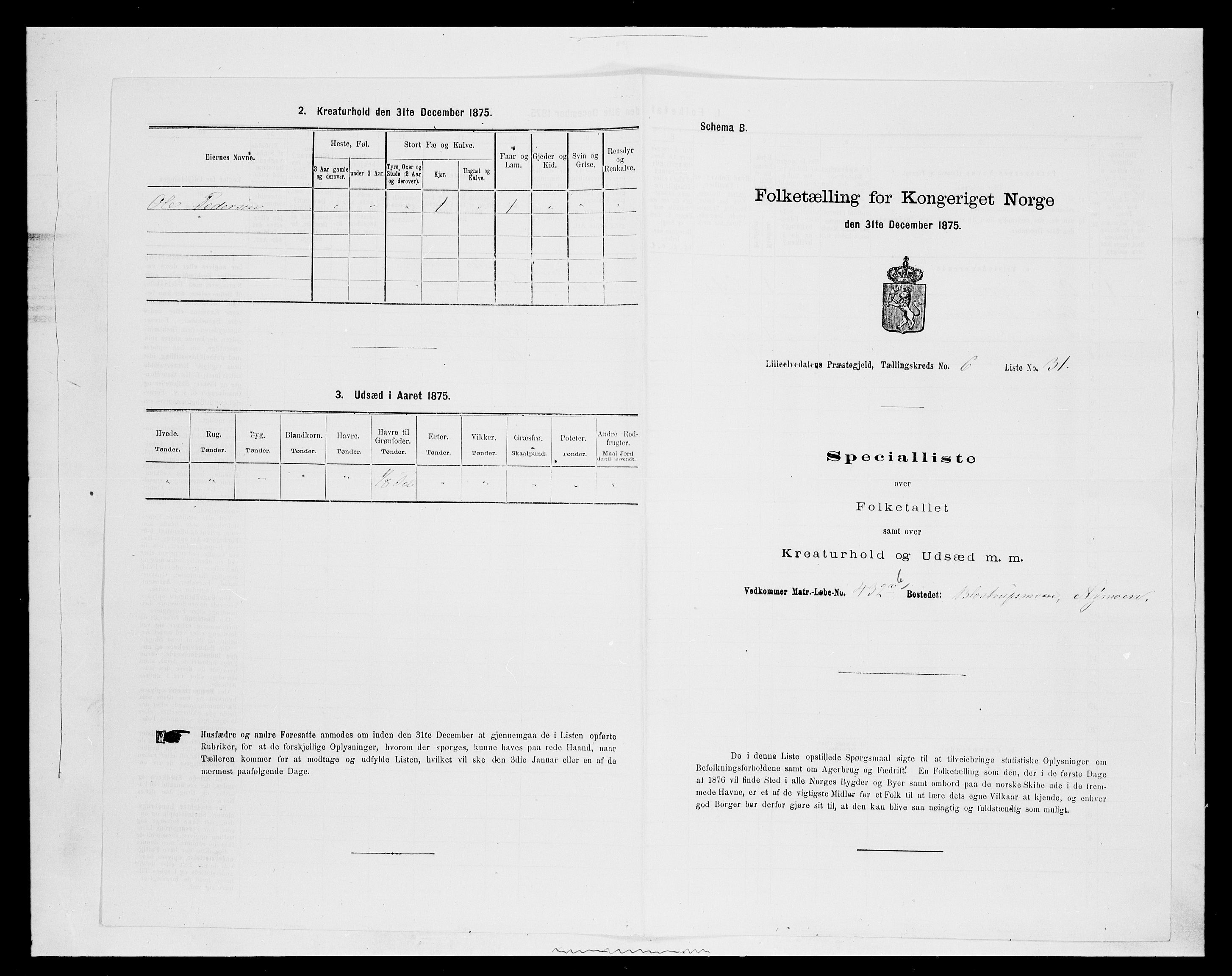 SAH, 1875 census for 0438P Lille Elvedalen, 1875, p. 568