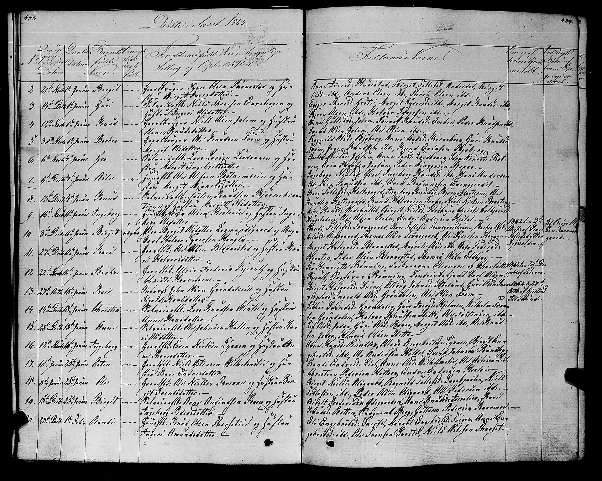 Gol kirkebøker, SAKO/A-226/F/Fa/L0002: Parish register (official) no. I 2, 1837-1863, p. 493-494