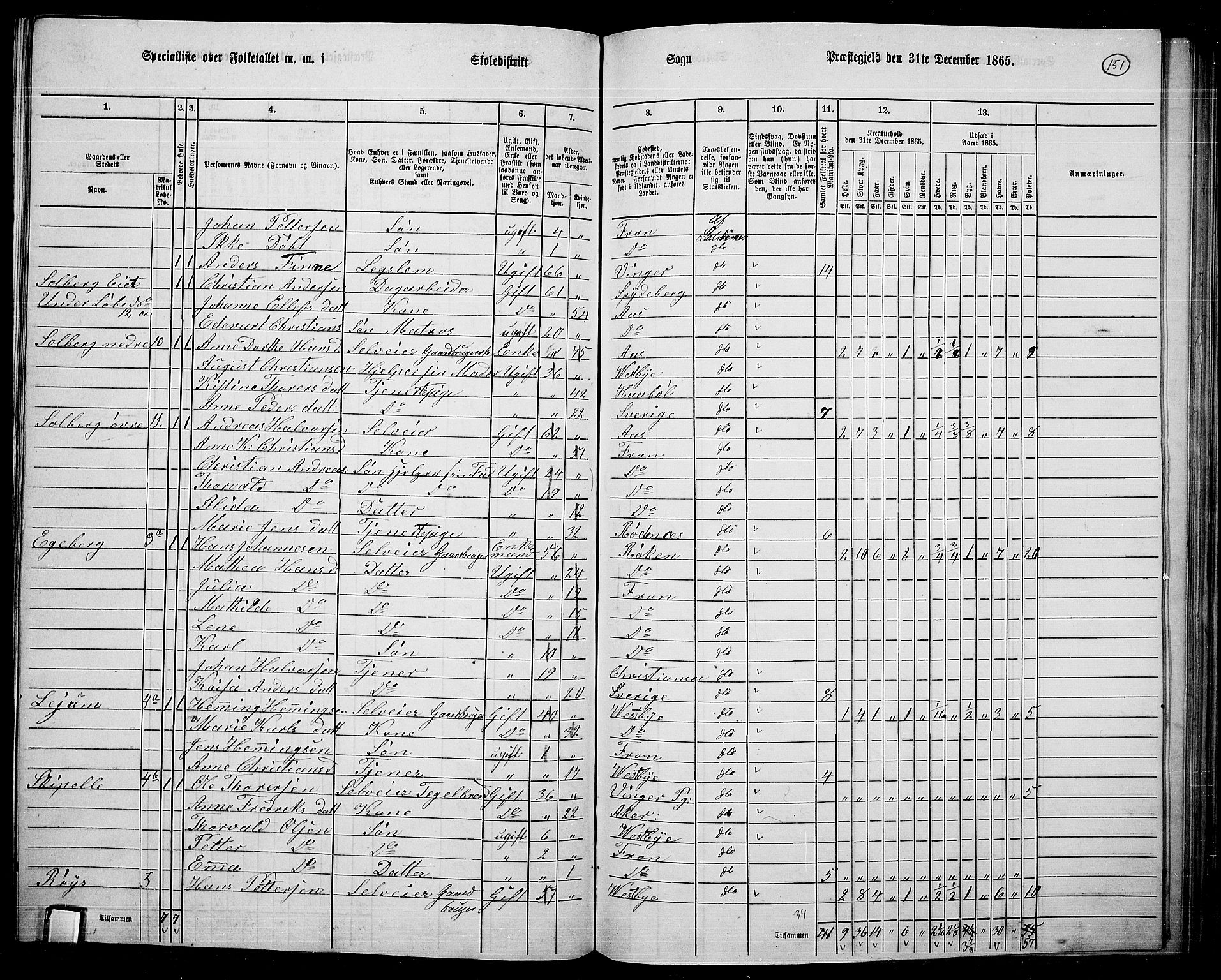 RA, 1865 census for Drøbak/Frogn, 1865, p. 10