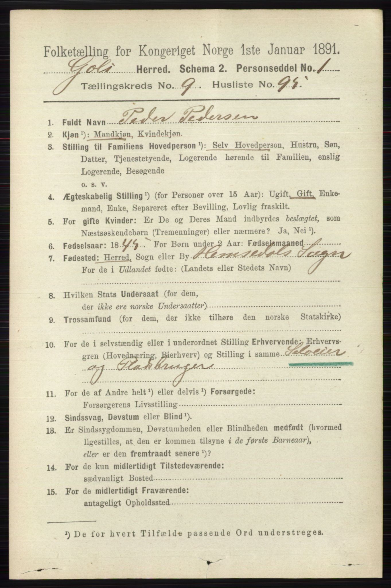 RA, 1891 census for 0617 Gol og Hemsedal, 1891, p. 3969