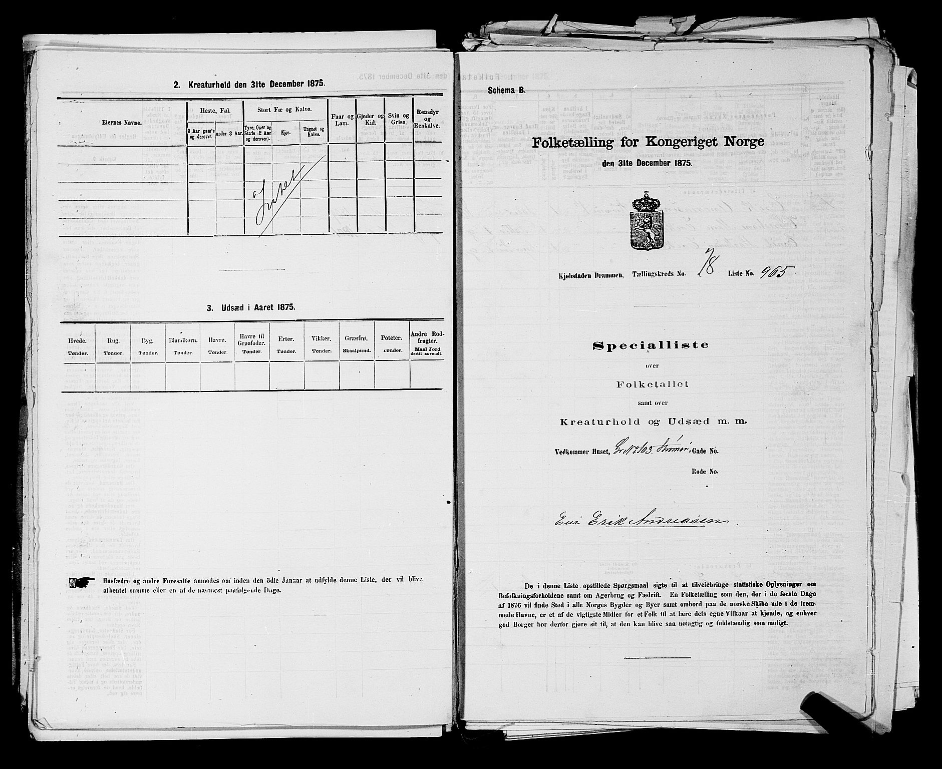 SAKO, 1875 census for 0602 Drammen, 1875, p. 2720