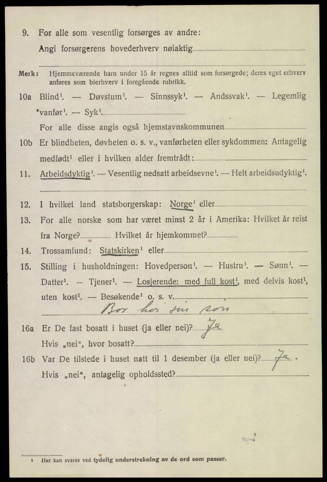 SAH, 1920 census for Skjåk, 1920, p. 4943