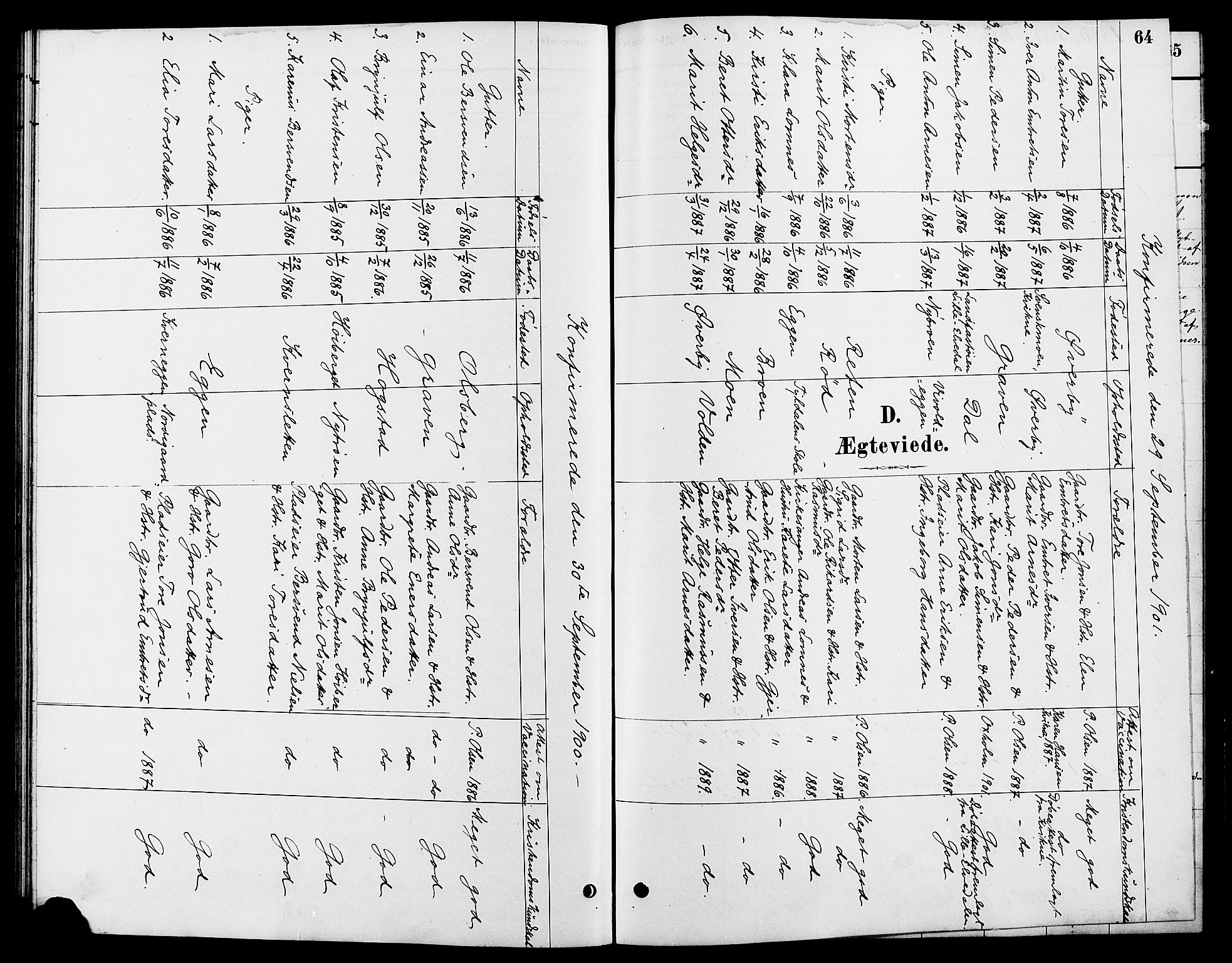 Tynset prestekontor, SAH/PREST-058/H/Ha/Hab/L0007: Parish register (copy) no. 7, 1880-1901, p. 64