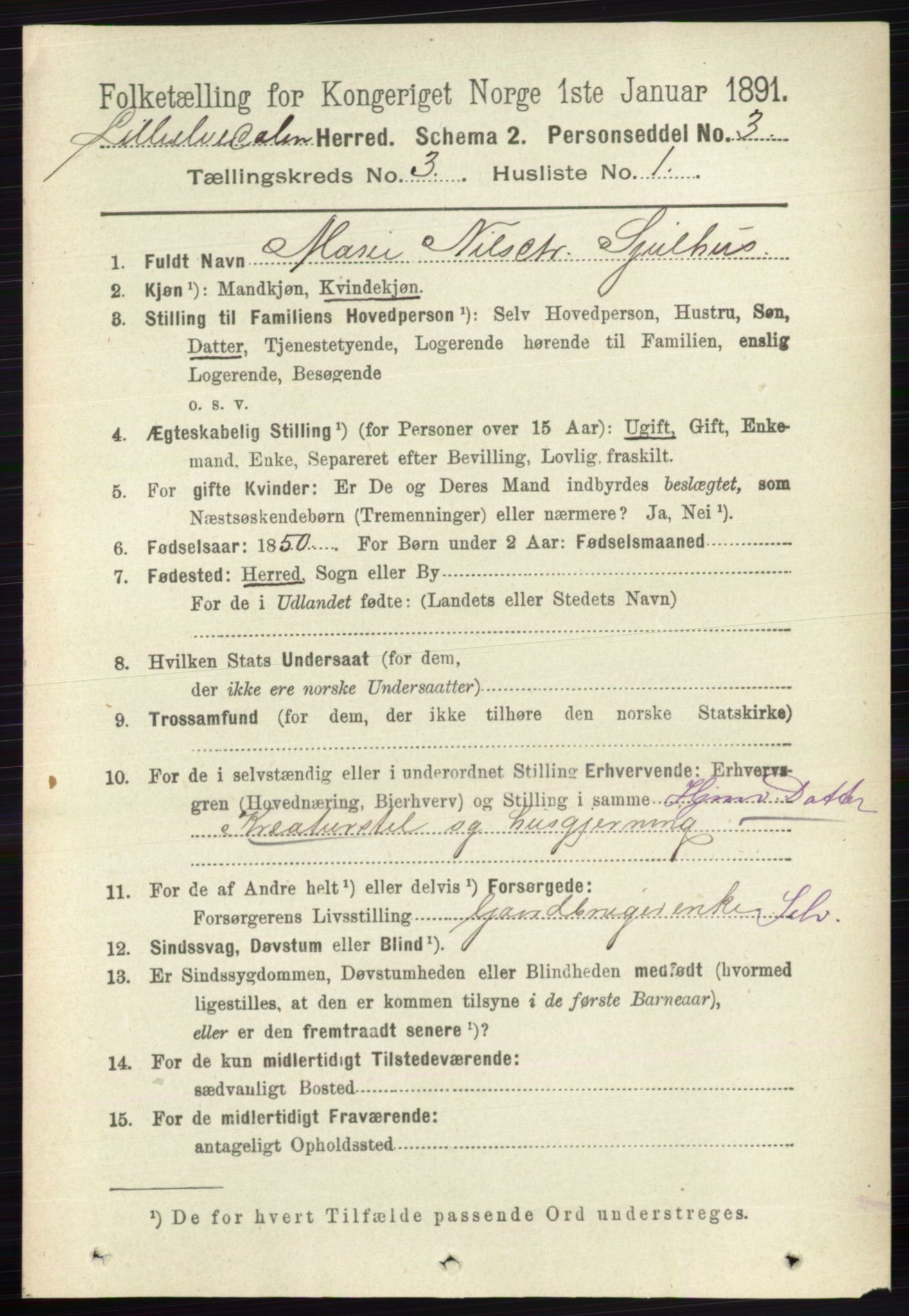 RA, 1891 census for 0438 Lille Elvedalen, 1891, p. 1031