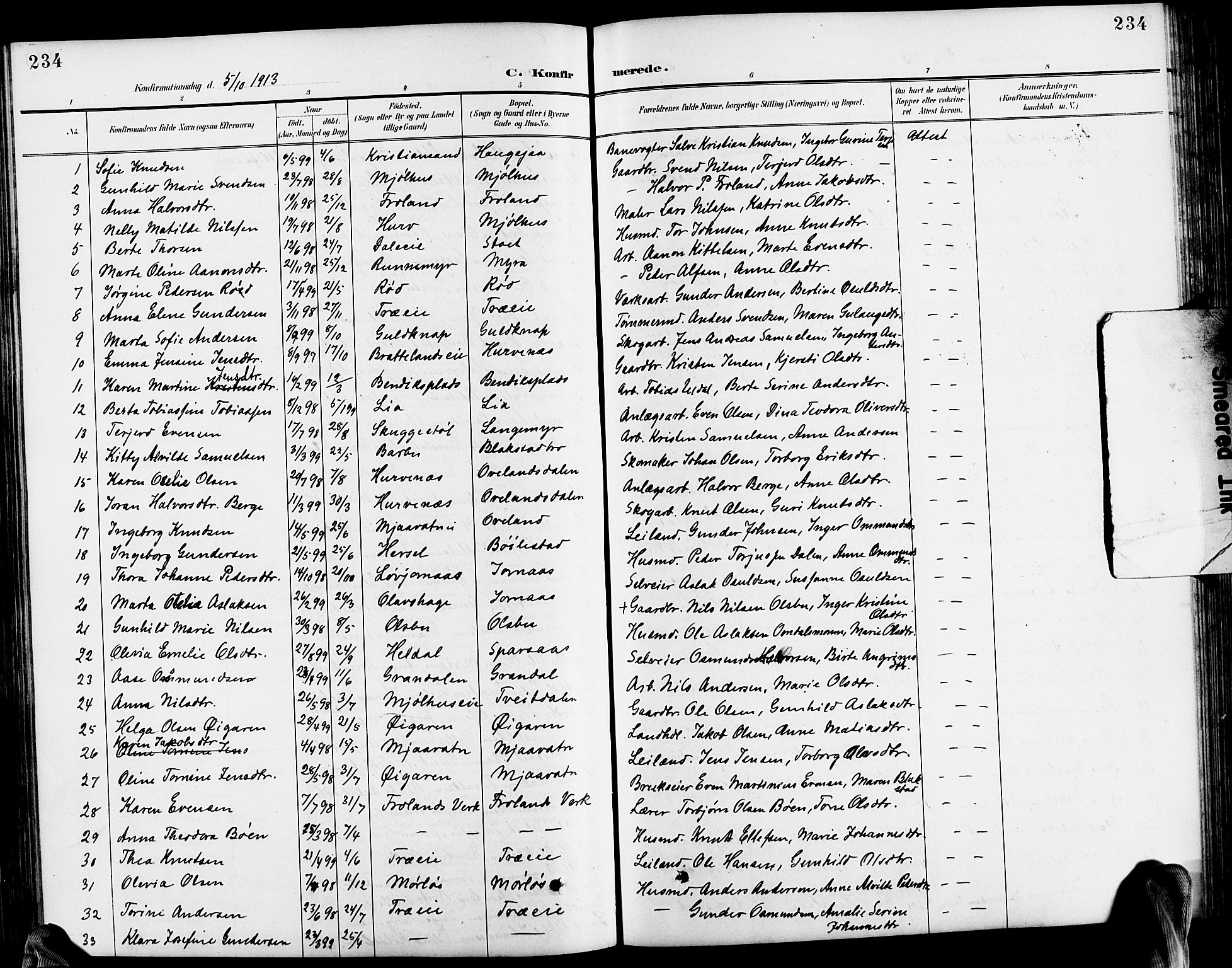 Froland sokneprestkontor, SAK/1111-0013/F/Fb/L0010: Parish register (copy) no. B 10, 1893-1920, p. 234