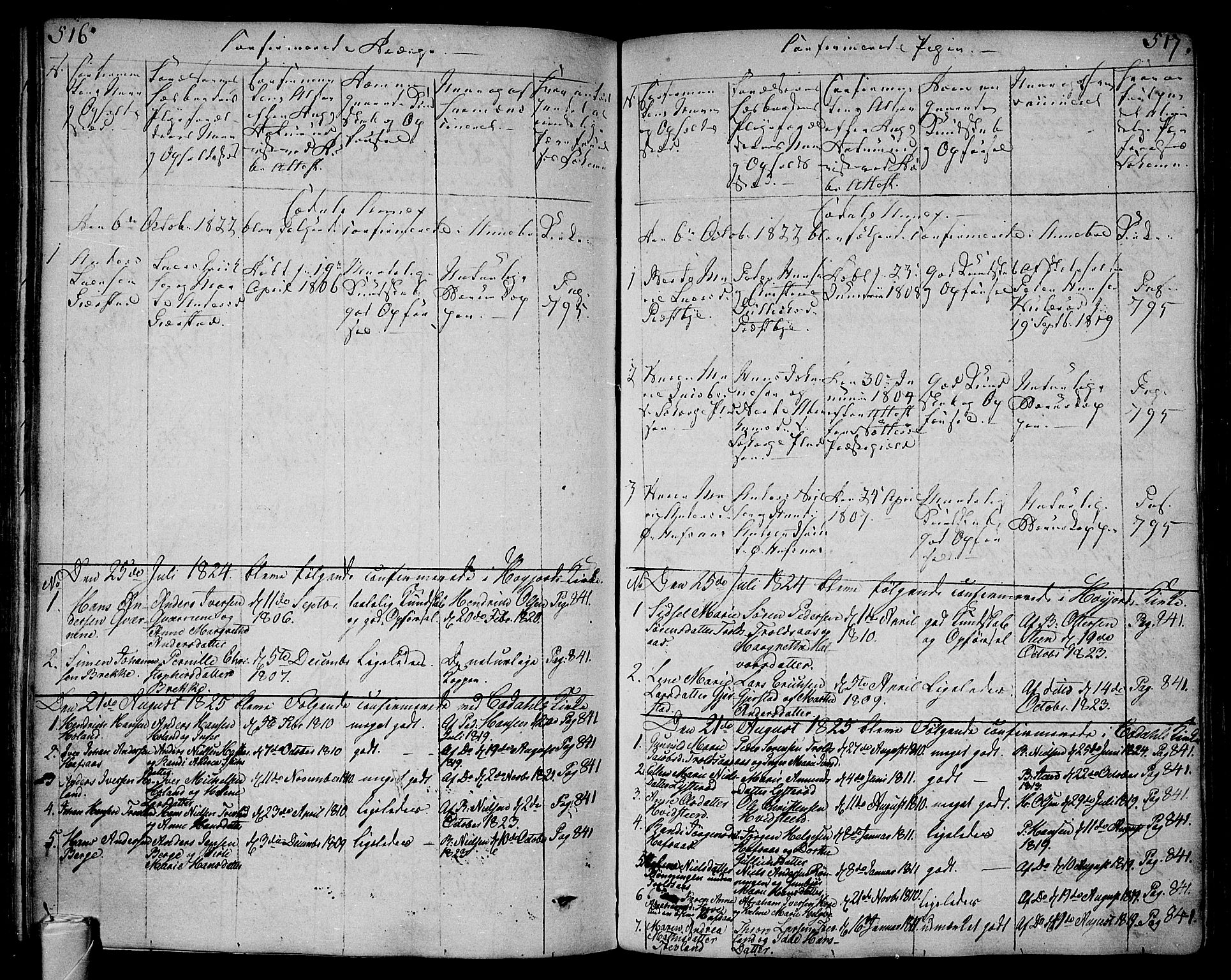 Andebu kirkebøker, SAKO/A-336/F/Fa/L0003: Parish register (official) no. 3 /3, 1815-1828, p. 516-517