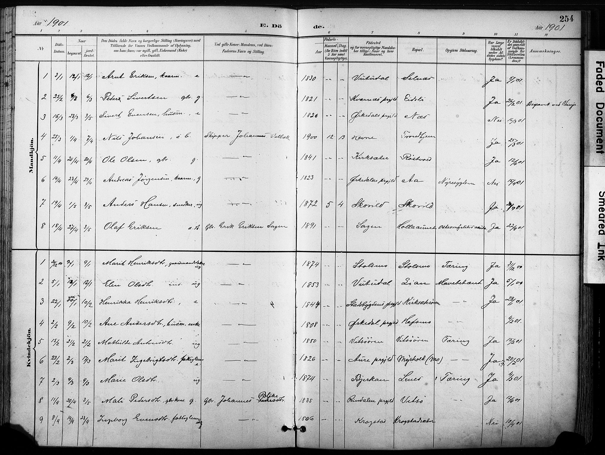 Ministerialprotokoller, klokkerbøker og fødselsregistre - Sør-Trøndelag, SAT/A-1456/630/L0497: Parish register (official) no. 630A10, 1896-1910, p. 254