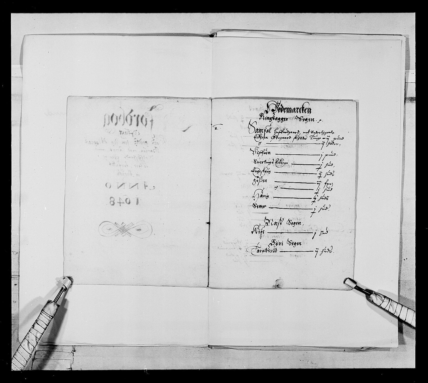 Stattholderembetet 1572-1771, AV/RA-EA-2870/Ek/L0021/0001: Jordebøker 1633-1658: / Adelsjordebøker innlevert til hyllingen i august 1648 og senere, 1648-1649, p. 105