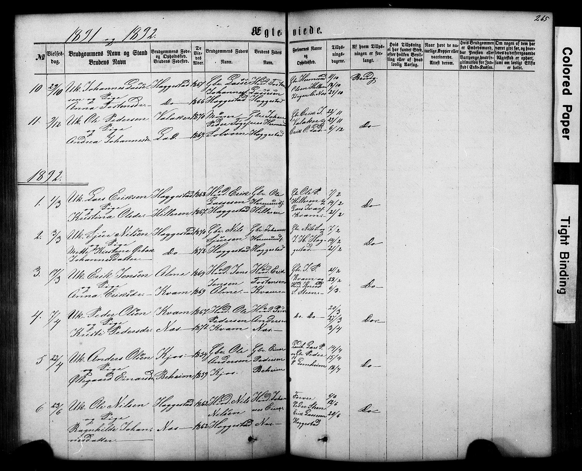 Hafslo sokneprestembete, SAB/A-80301/H/Hab/Haba/L0001: Parish register (copy) no. A 1, 1866-1908, p. 265