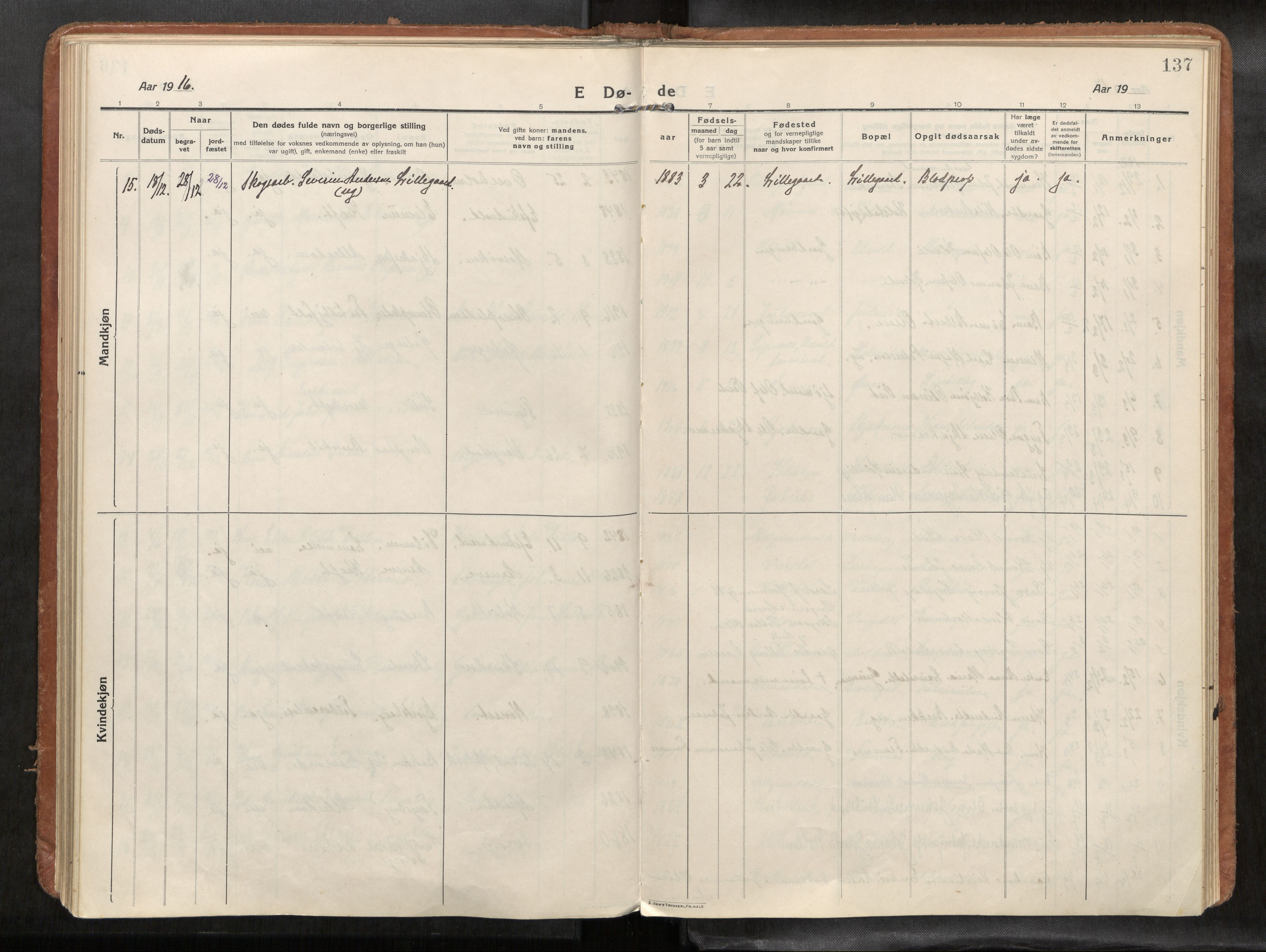 Verdal sokneprestkontor, SAT/A-1156/2/H/Haa/L0004: Parish register (official) no. 4, 1916-1928, p. 137