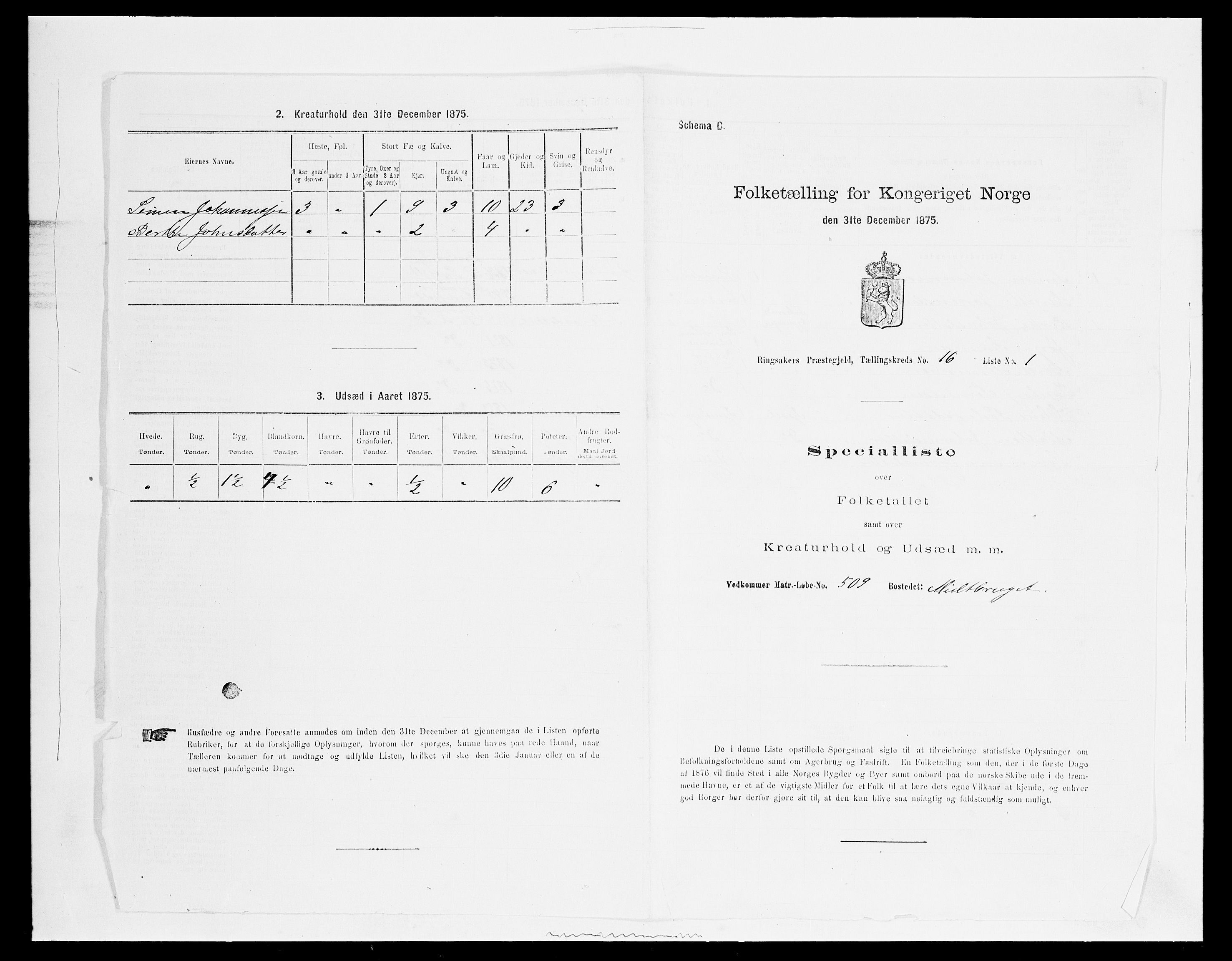 SAH, 1875 census for 0412P Ringsaker, 1875, p. 3240