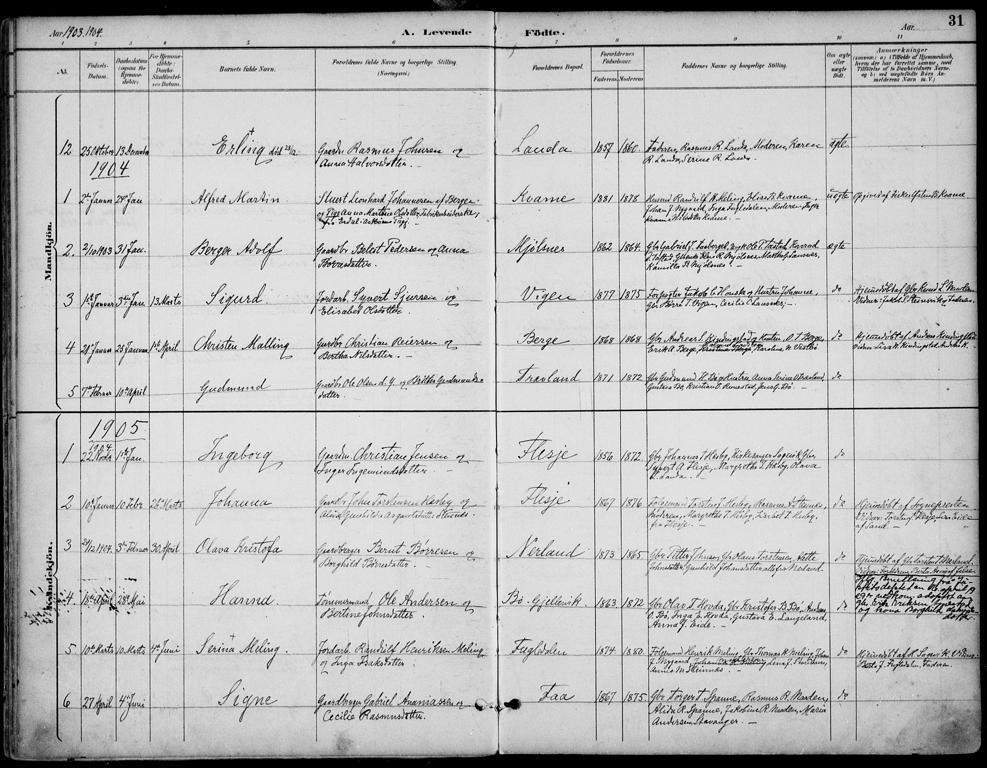Finnøy sokneprestkontor, SAST/A-101825/H/Ha/Haa/L0011: Parish register (official) no. A 11, 1891-1910, p. 31