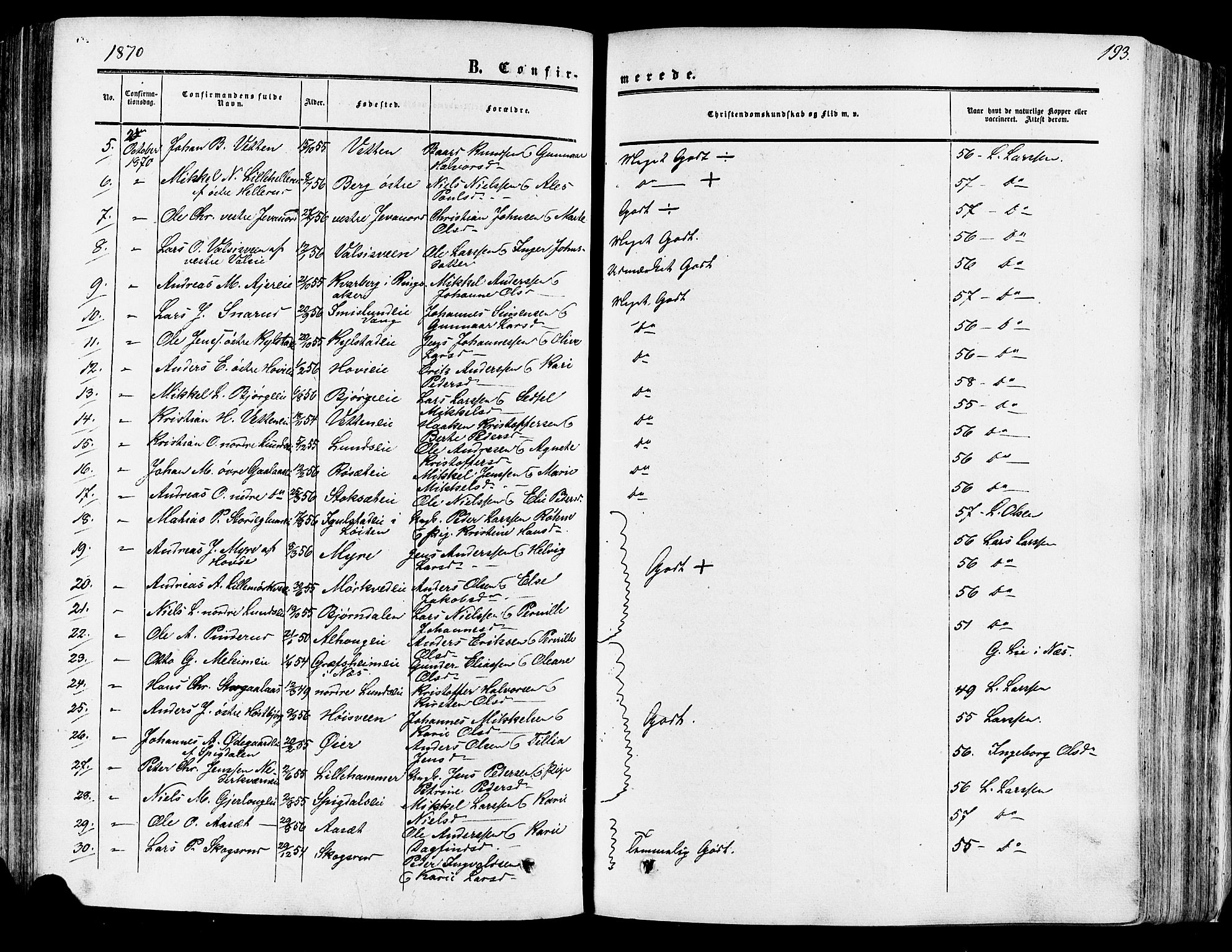 Vang prestekontor, Hedmark, SAH/PREST-008/H/Ha/Haa/L0013: Parish register (official) no. 13, 1855-1879, p. 193