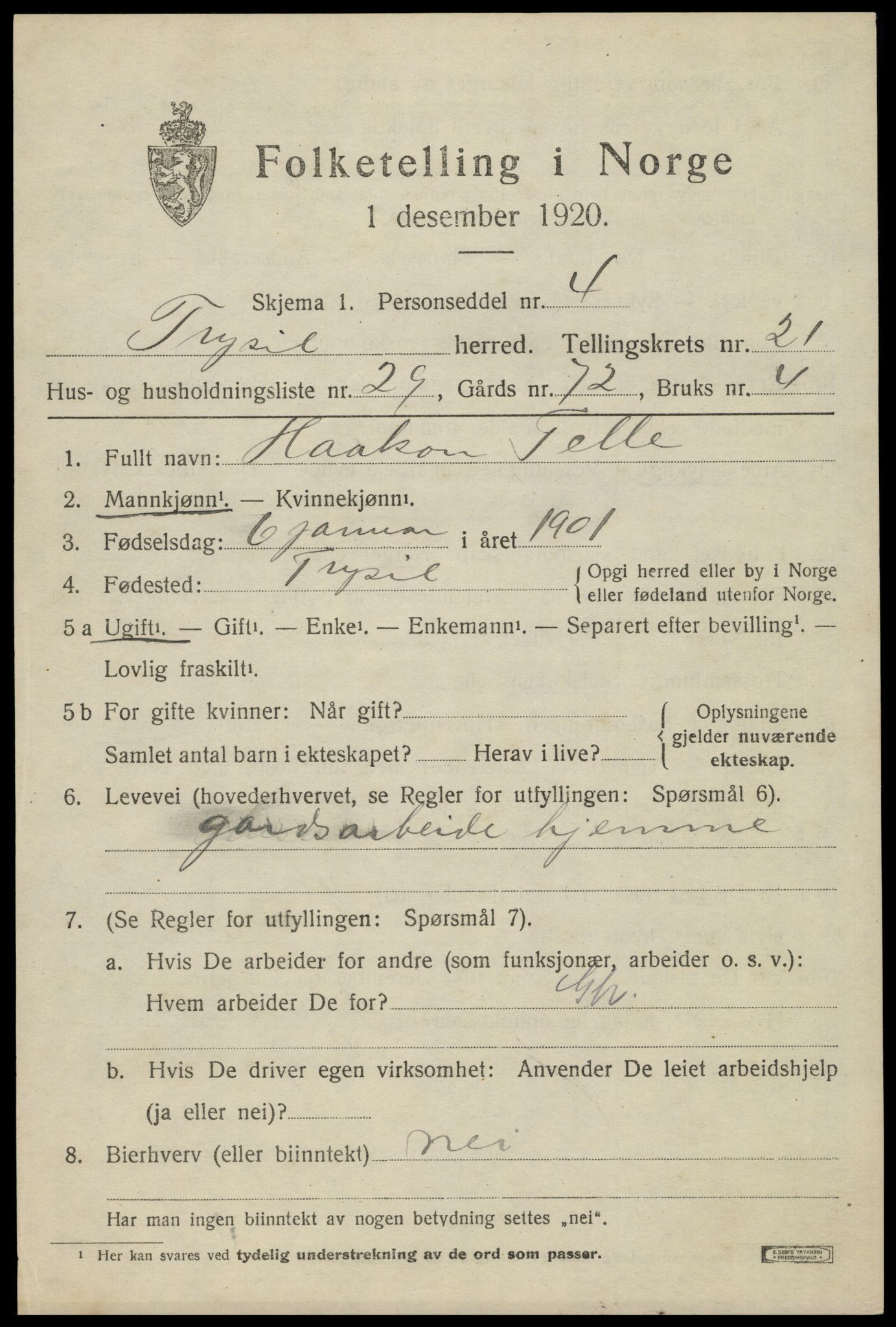 SAH, 1920 census for Trysil, 1920, p. 14117