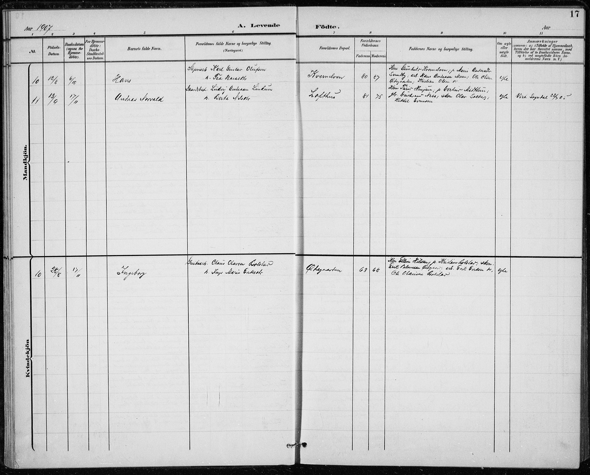 Modum kirkebøker, AV/SAKO-A-234/F/Fa/L0020: Parish register (official) no. 20, 1900-1917, p. 17