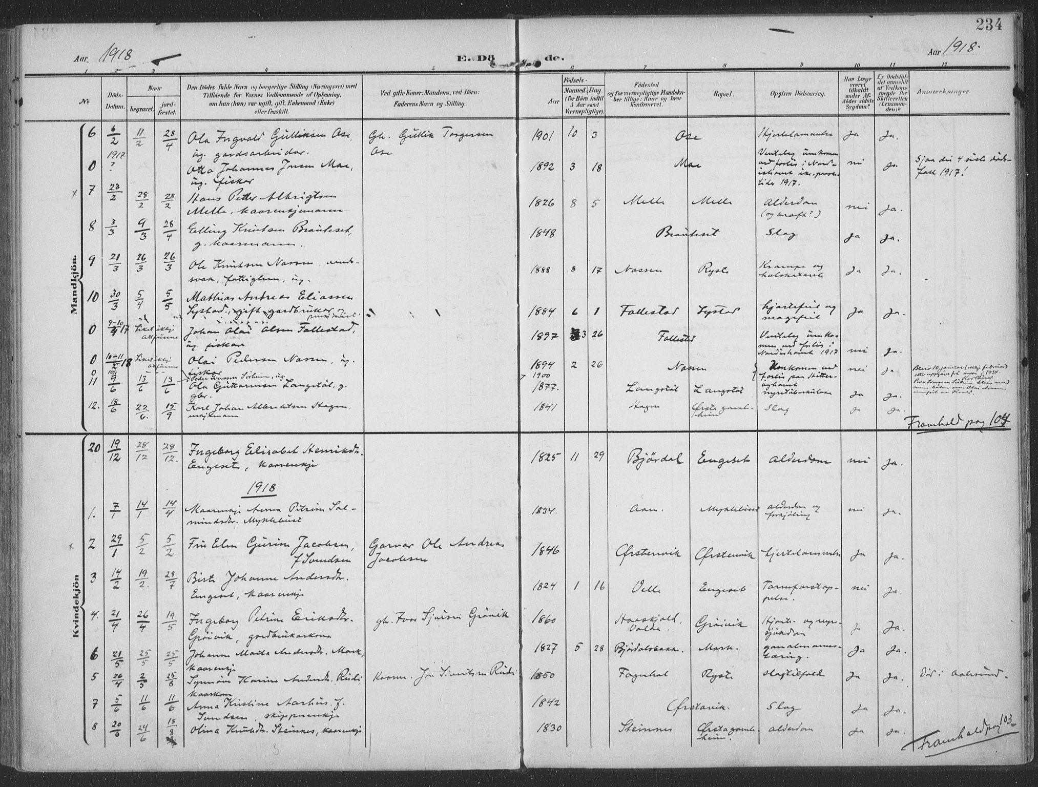 Ministerialprotokoller, klokkerbøker og fødselsregistre - Møre og Romsdal, SAT/A-1454/513/L0178: Parish register (official) no. 513A05, 1906-1919, p. 234