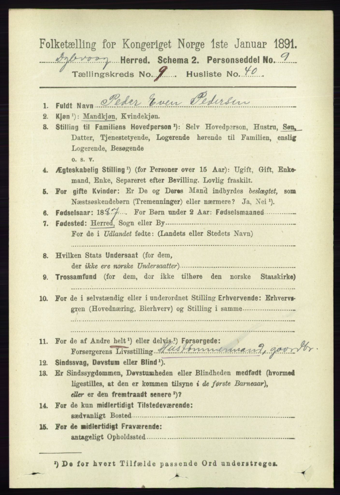 RA, 1891 census for 0915 Dypvåg, 1891, p. 3532