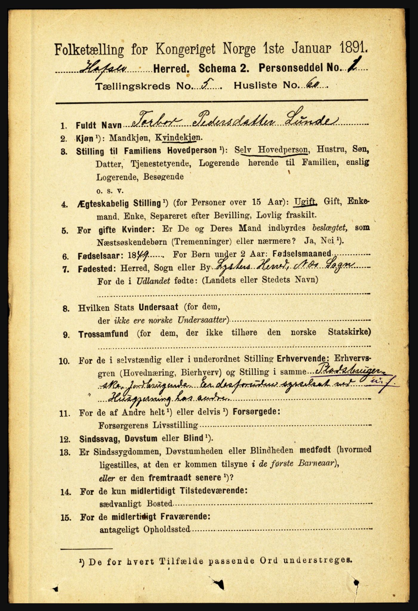 RA, 1891 census for 1425 Hafslo, 1891, p. 2265