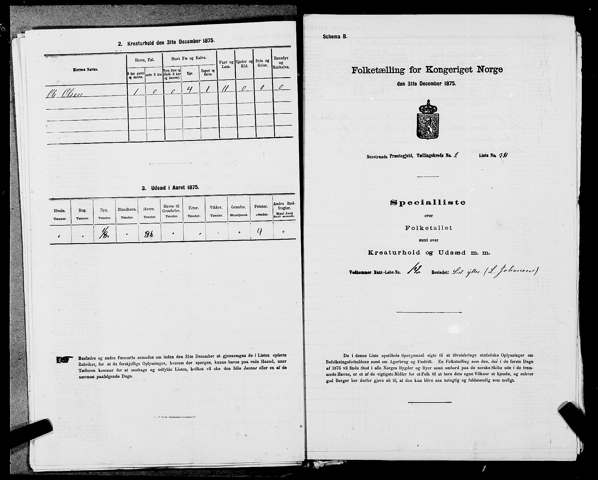SAST, 1875 census for 1139P Nedstrand, 1875, p. 618