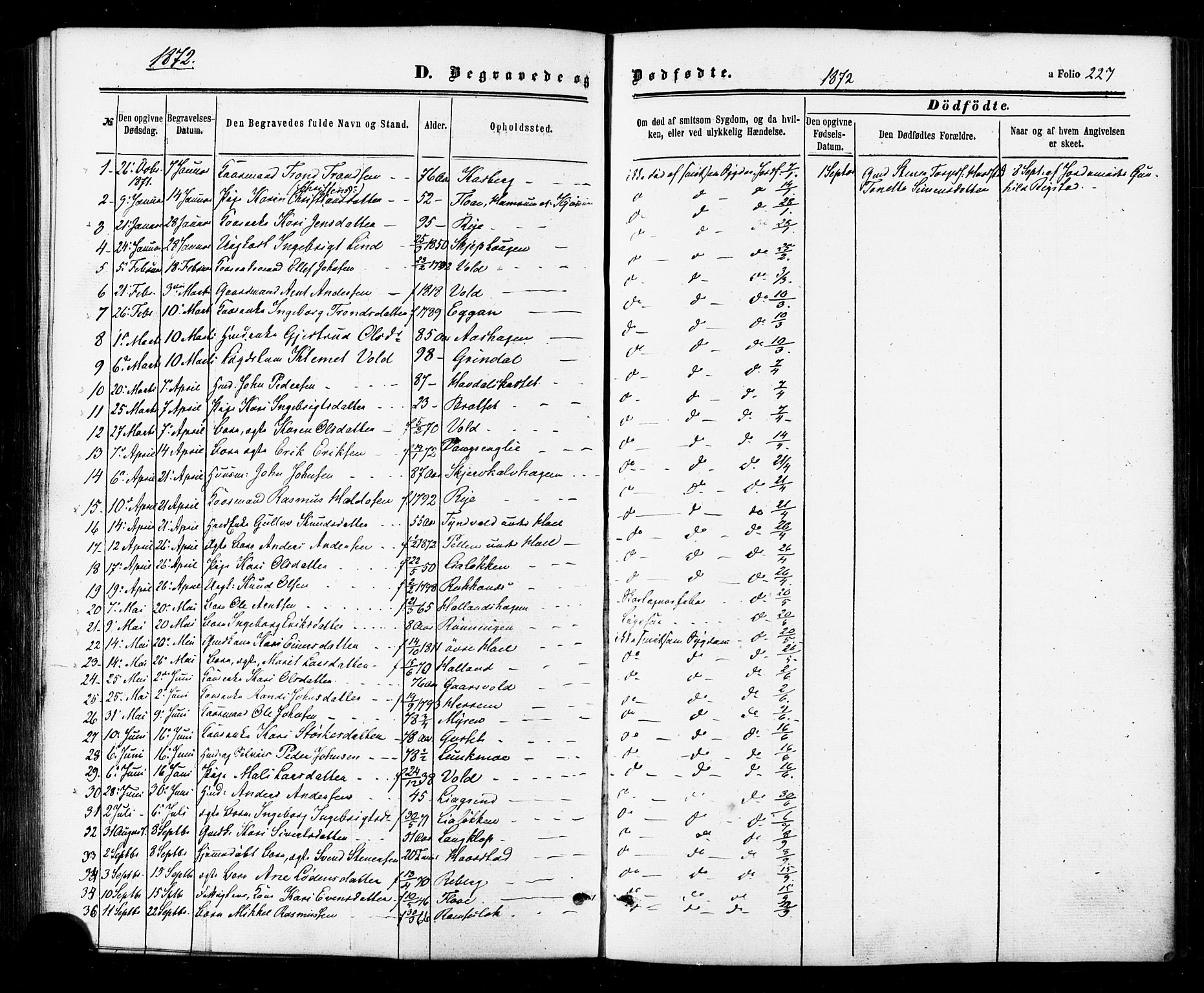 Ministerialprotokoller, klokkerbøker og fødselsregistre - Sør-Trøndelag, SAT/A-1456/674/L0870: Parish register (official) no. 674A02, 1861-1879, p. 227