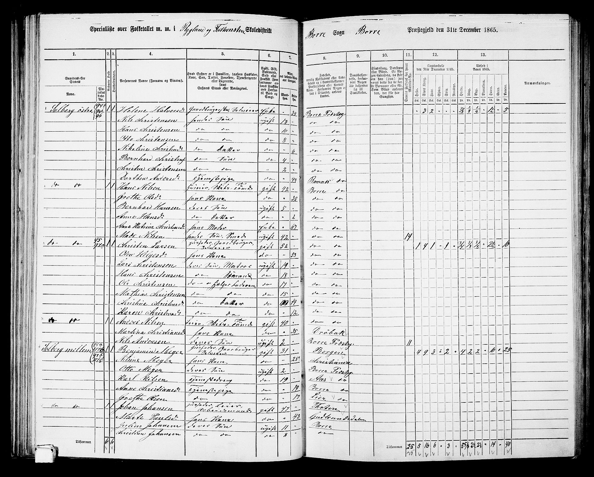 RA, 1865 census for Borre, 1865, p. 111