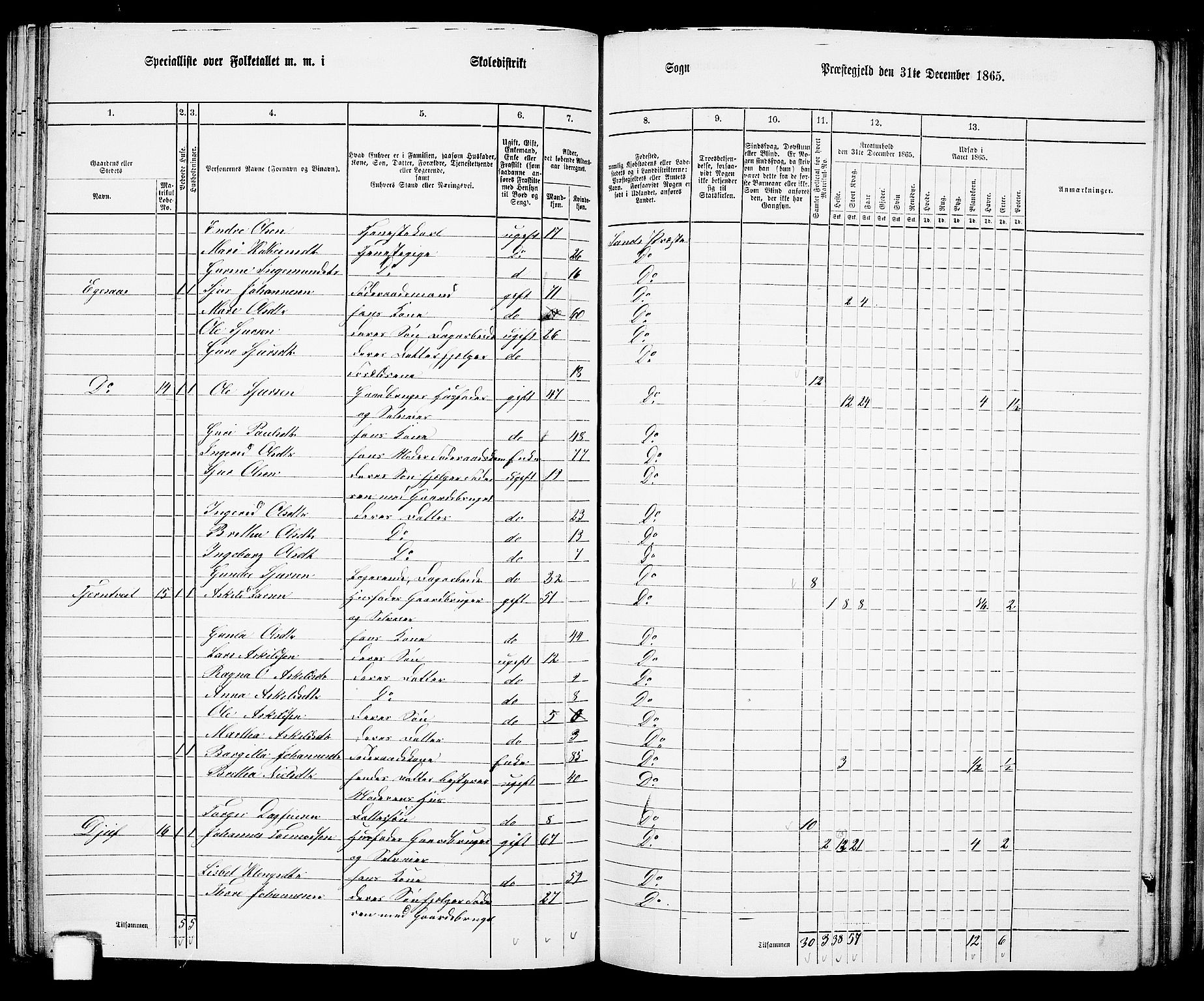 RA, 1865 census for Sand, 1865, p. 85