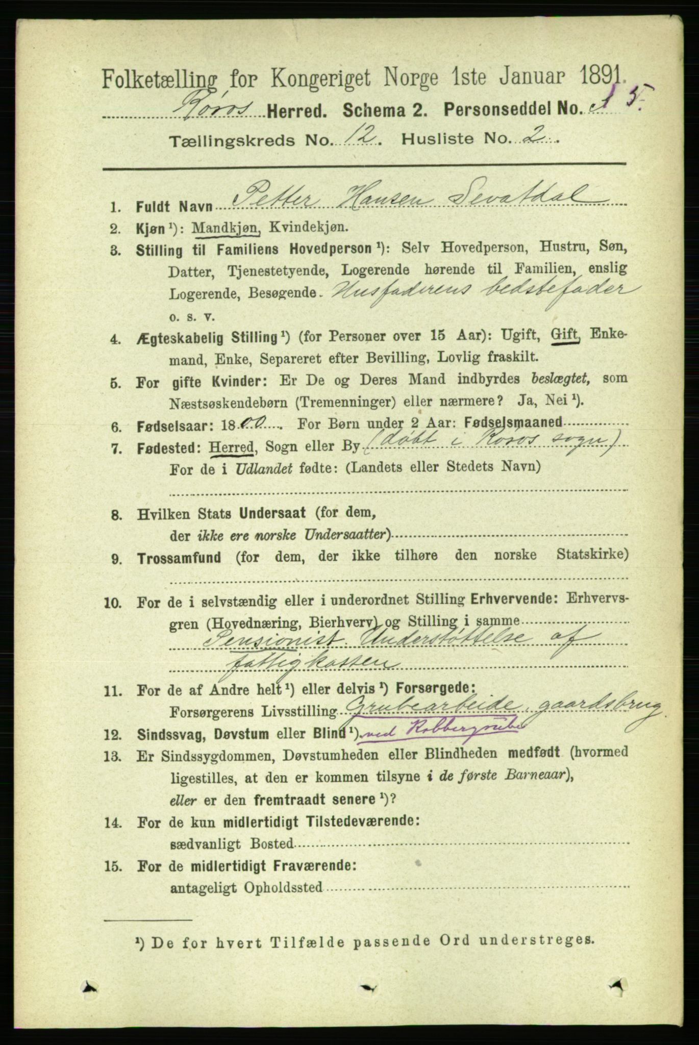 RA, 1891 census for 1640 Røros, 1891, p. 2380