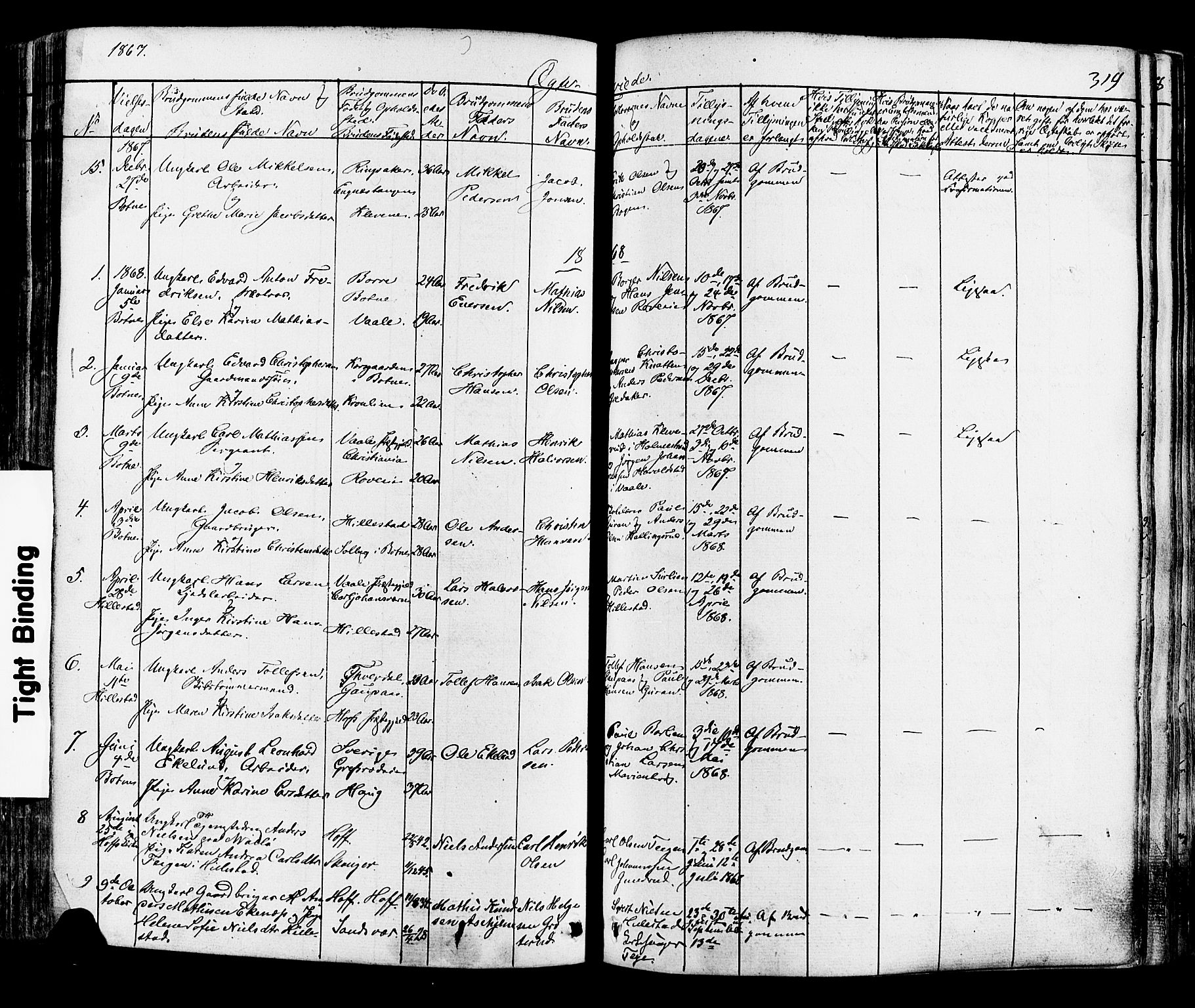 Botne kirkebøker, AV/SAKO-A-340/F/Fa/L0006: Parish register (official) no. I 6, 1836-1877, p. 319