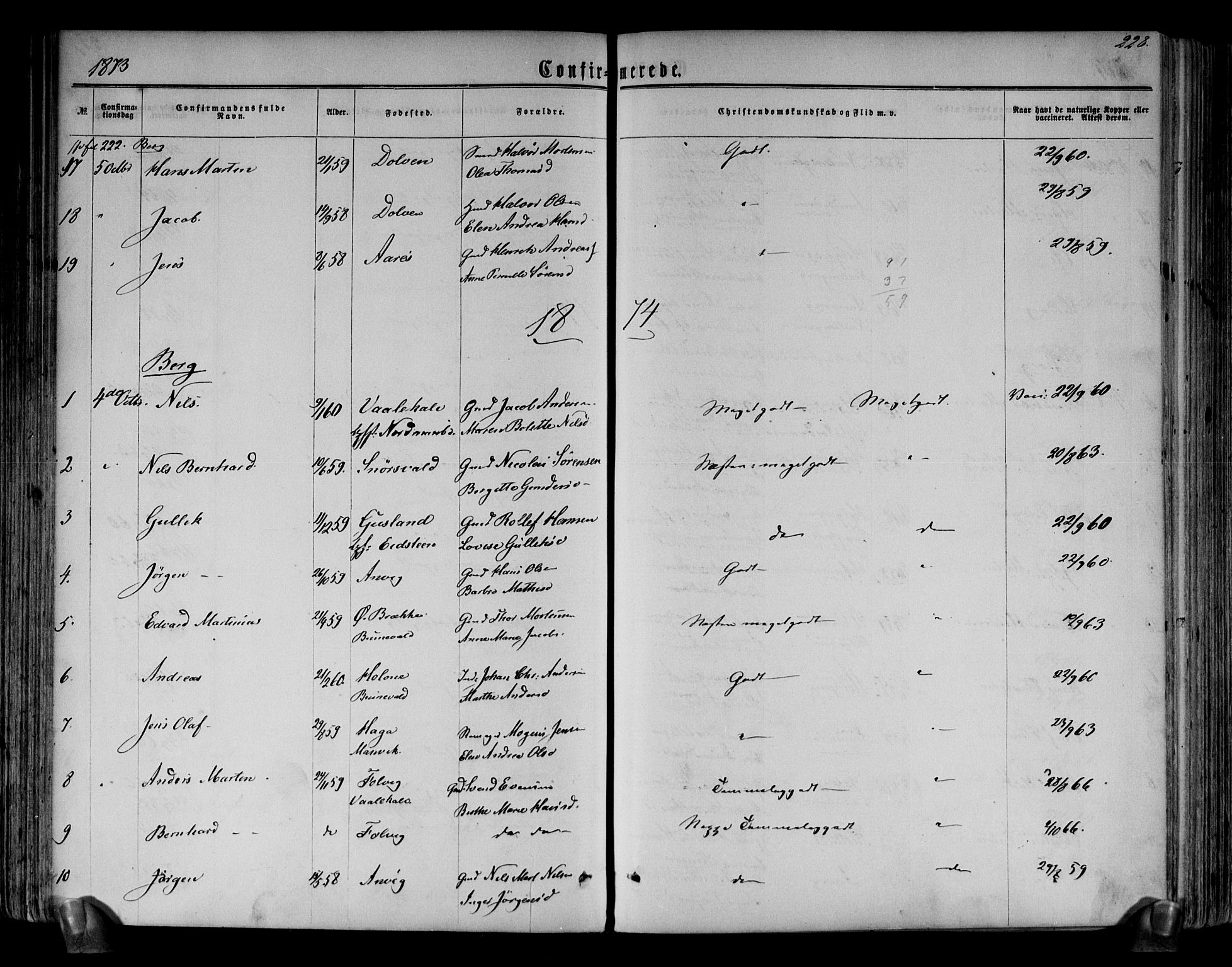 Brunlanes kirkebøker, SAKO/A-342/F/Fa/L0005: Parish register (official) no. I 5, 1862-1877, p. 228