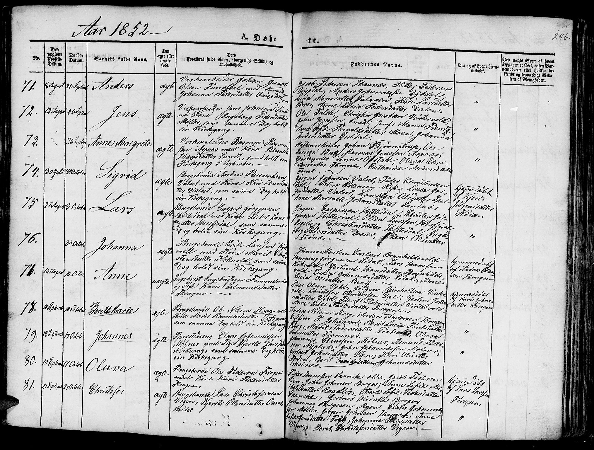 Ministerialprotokoller, klokkerbøker og fødselsregistre - Sør-Trøndelag, SAT/A-1456/681/L0938: Parish register (copy) no. 681C02, 1829-1879, p. 246