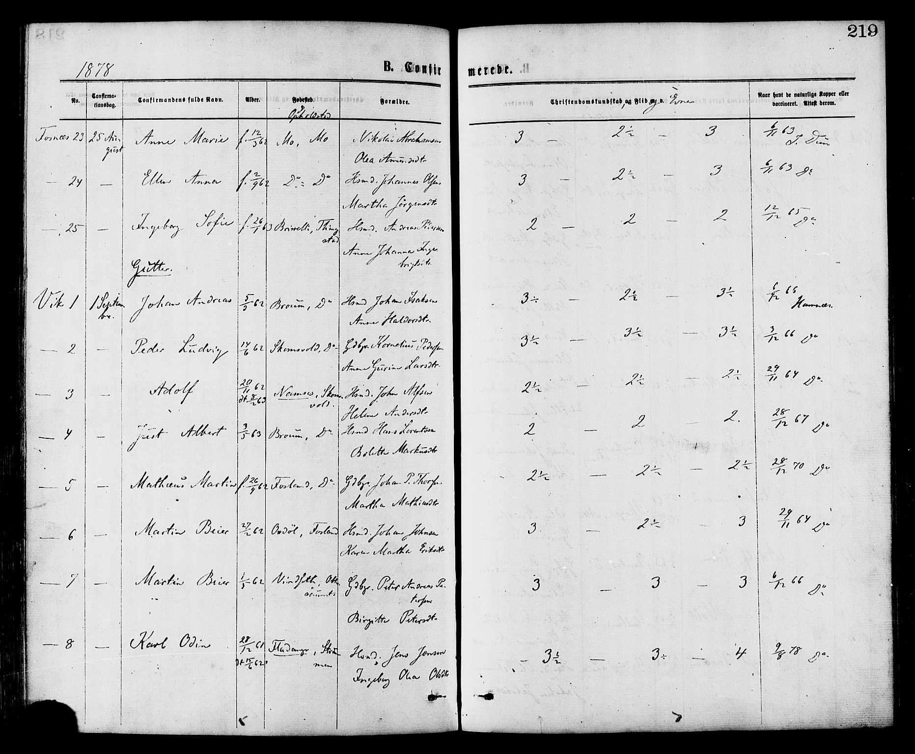 Ministerialprotokoller, klokkerbøker og fødselsregistre - Nord-Trøndelag, AV/SAT-A-1458/773/L0616: Parish register (official) no. 773A07, 1870-1887, p. 219