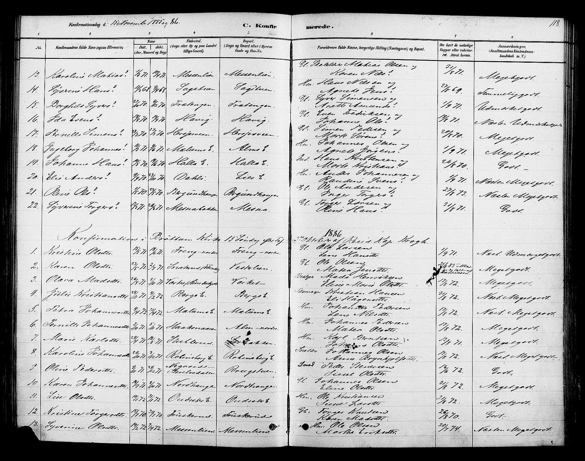 Ringsaker prestekontor, AV/SAH-PREST-014/K/Ka/L0013: Parish register (official) no. 13, 1879-1890, p. 118