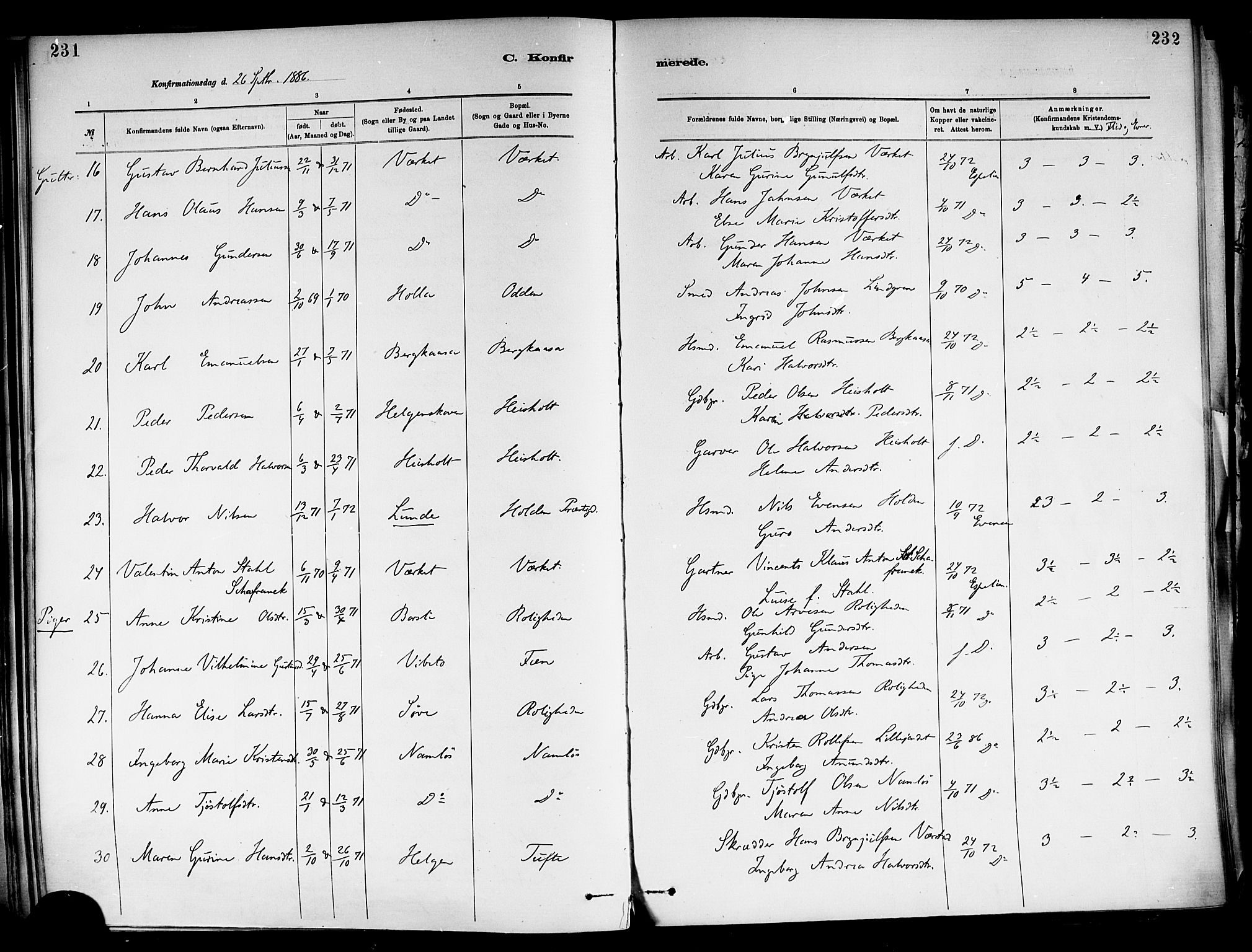 Holla kirkebøker, AV/SAKO-A-272/F/Fa/L0008: Parish register (official) no. 8, 1882-1897, p. 231