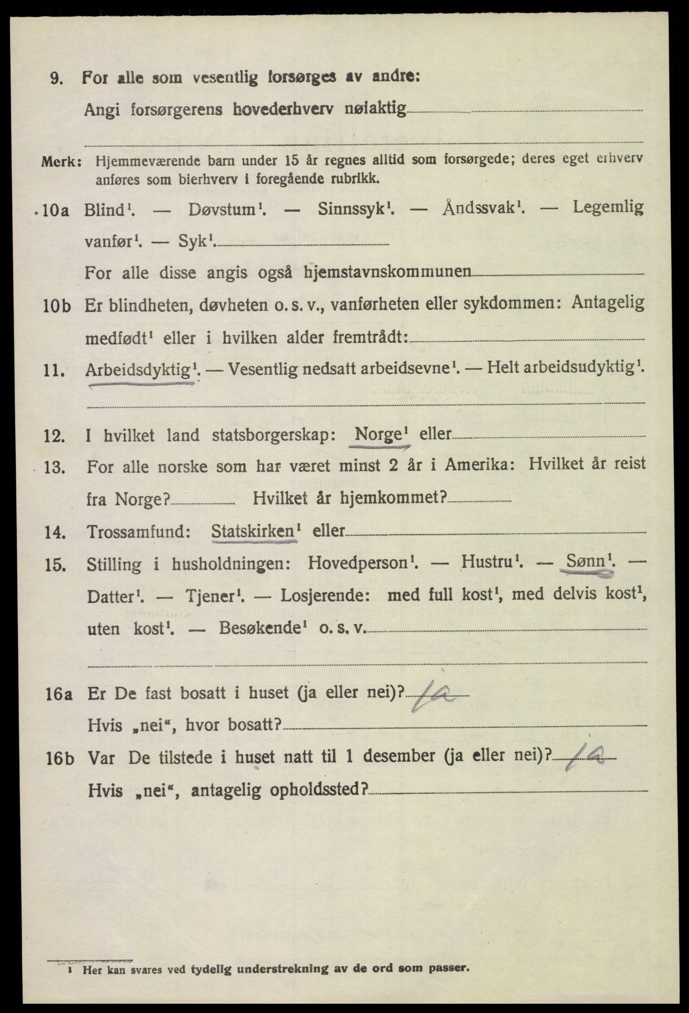 SAH, 1920 census for Åsnes, 1920, p. 12743