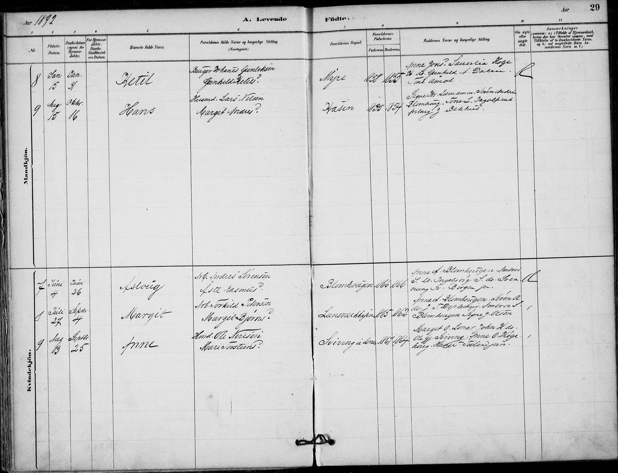 Hjartdal kirkebøker, AV/SAKO-A-270/F/Fb/L0002: Parish register (official) no. II 2, 1880-1932, p. 29