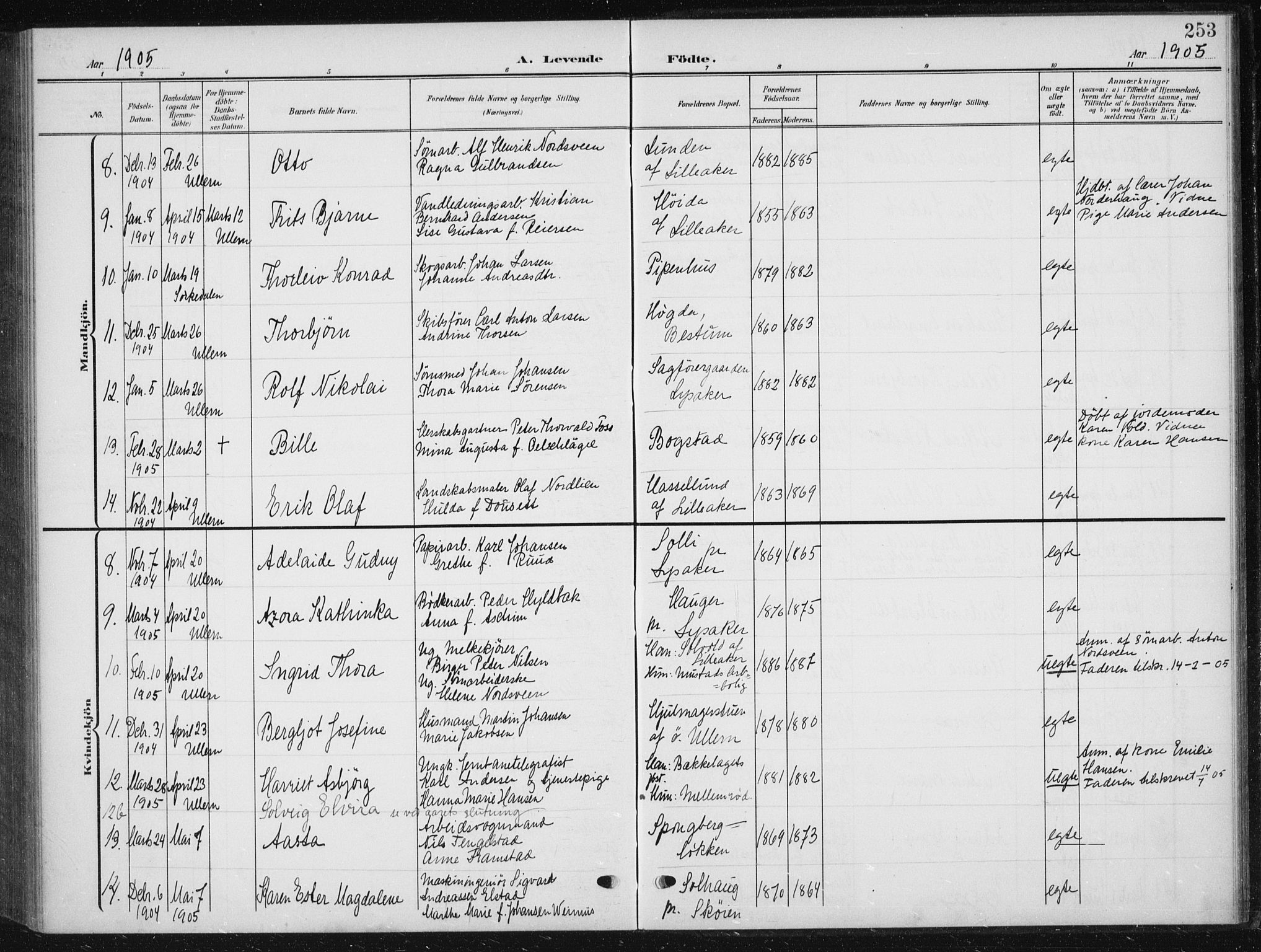 Vestre Aker prestekontor Kirkebøker, AV/SAO-A-10025/F/Fb/L0001: Parish register (official) no. II 1, 1880-1906, p. 253