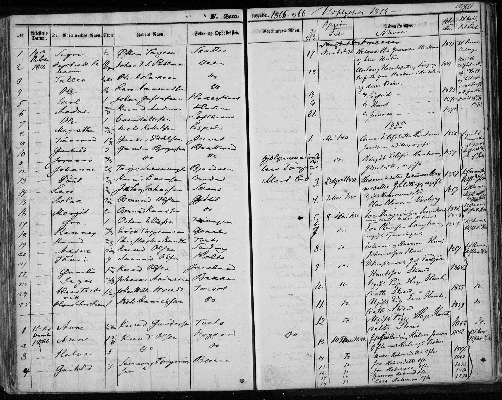 Lårdal kirkebøker, SAKO/A-284/F/Fa/L0006: Parish register (official) no. I 6, 1861-1886, p. 380