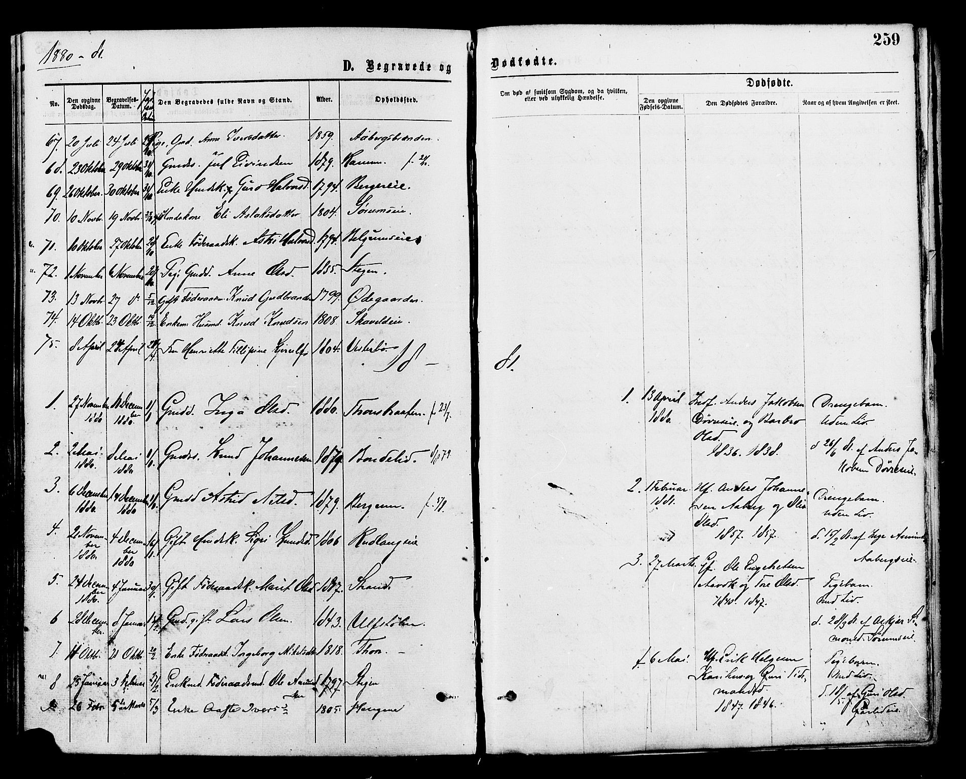 Nord-Aurdal prestekontor, SAH/PREST-132/H/Ha/Haa/L0009: Parish register (official) no. 9, 1876-1882, p. 259