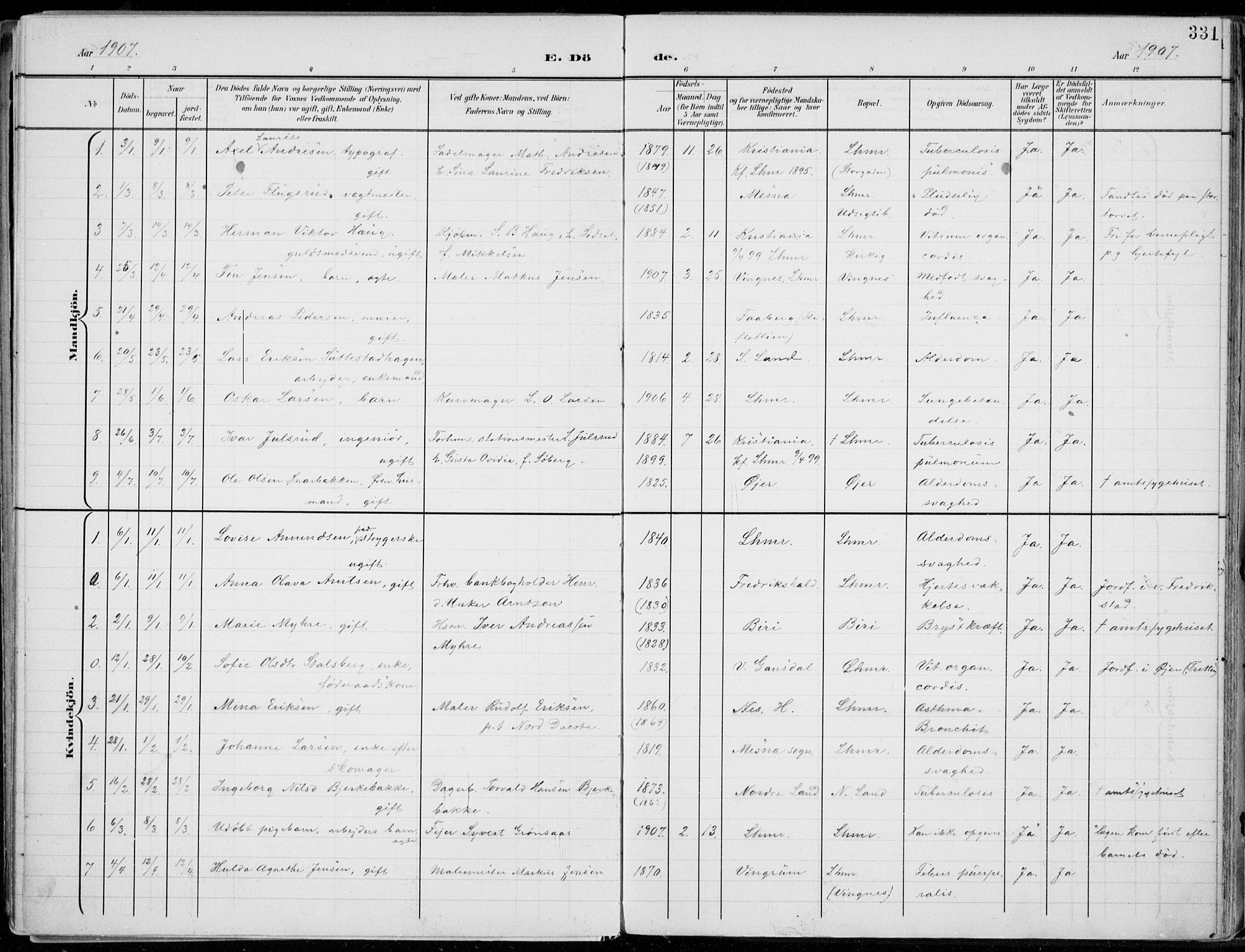 Lillehammer prestekontor, SAH/PREST-088/H/Ha/Haa/L0001: Parish register (official) no. 1, 1901-1916, p. 331