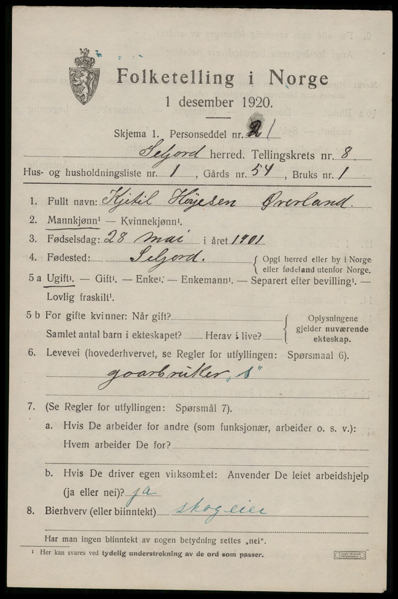 SAKO, 1920 census for Seljord, 1920, p. 3896