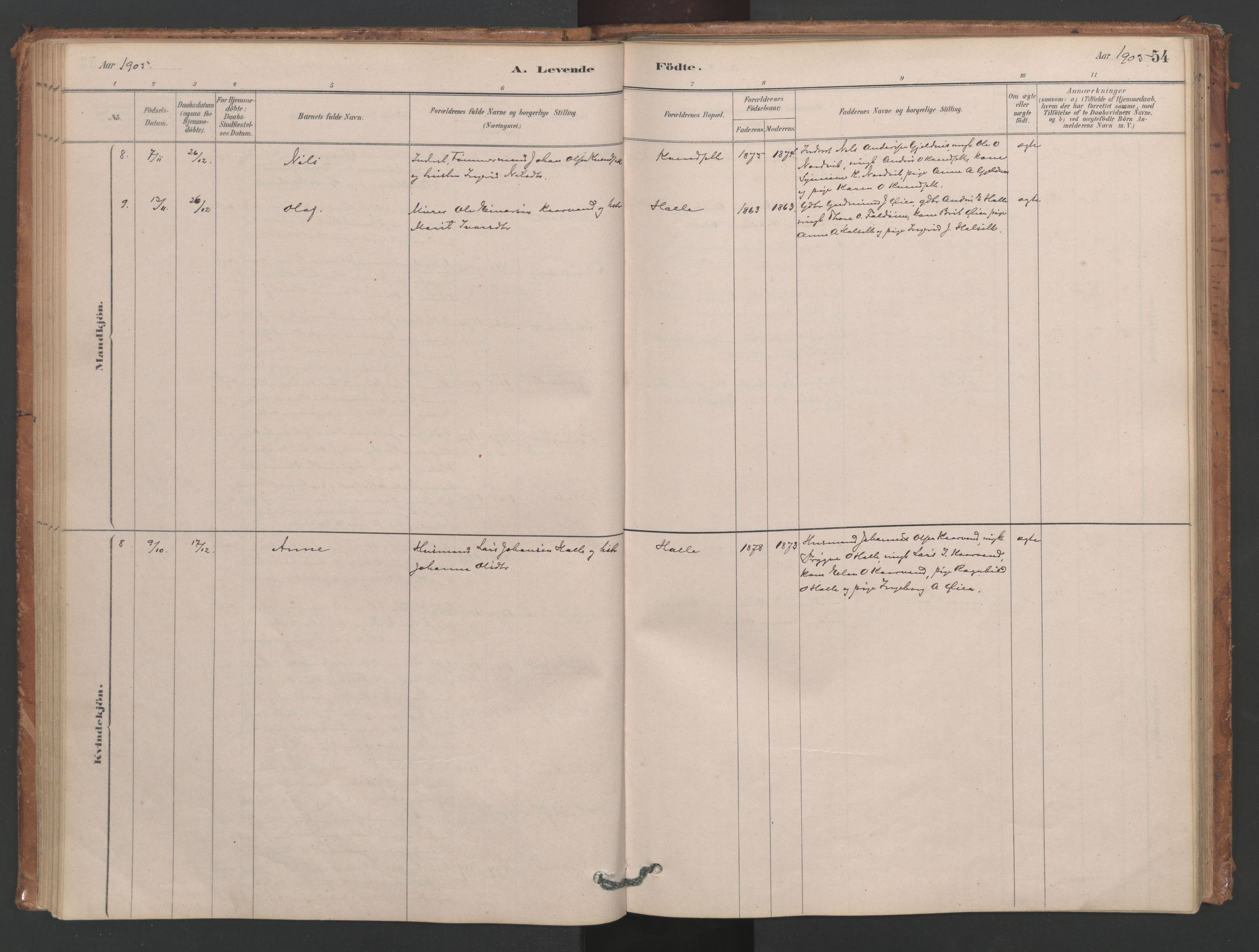 Ministerialprotokoller, klokkerbøker og fødselsregistre - Møre og Romsdal, AV/SAT-A-1454/593/L1034: Parish register (official) no. 593A01, 1879-1911, p. 54