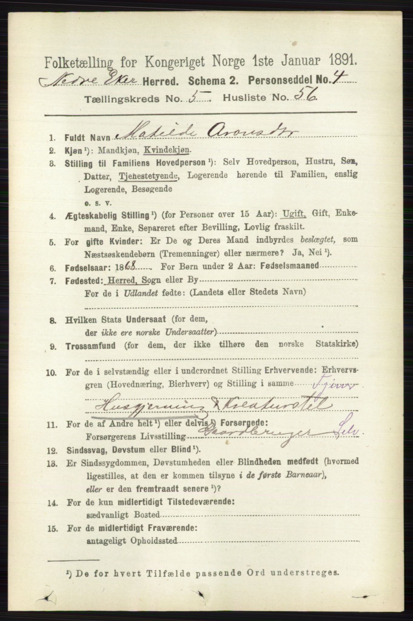 RA, 1891 census for 0625 Nedre Eiker, 1891, p. 2671