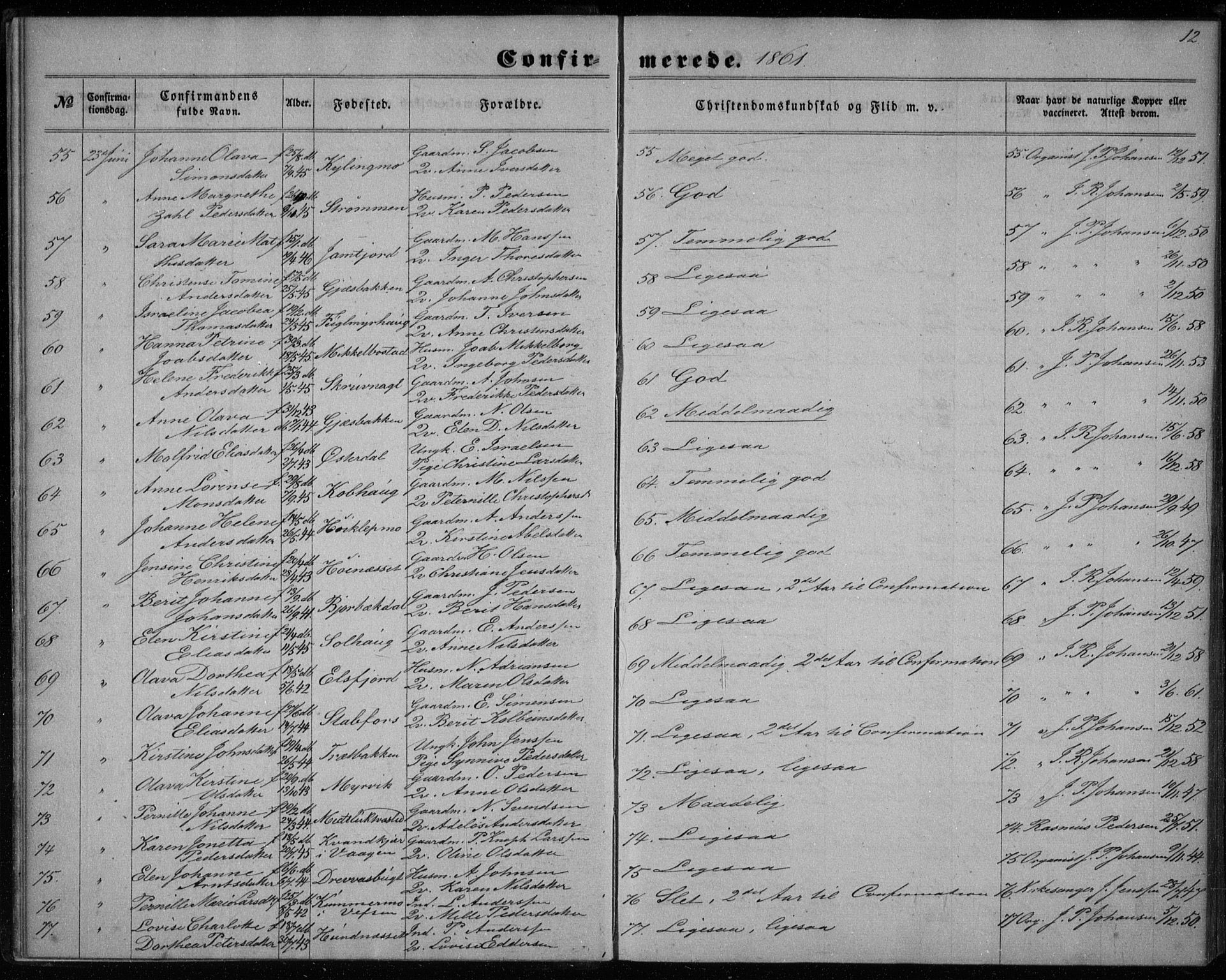 Ministerialprotokoller, klokkerbøker og fødselsregistre - Nordland, AV/SAT-A-1459/825/L0357: Parish register (official) no. 825A11, 1859-1877, p. 12