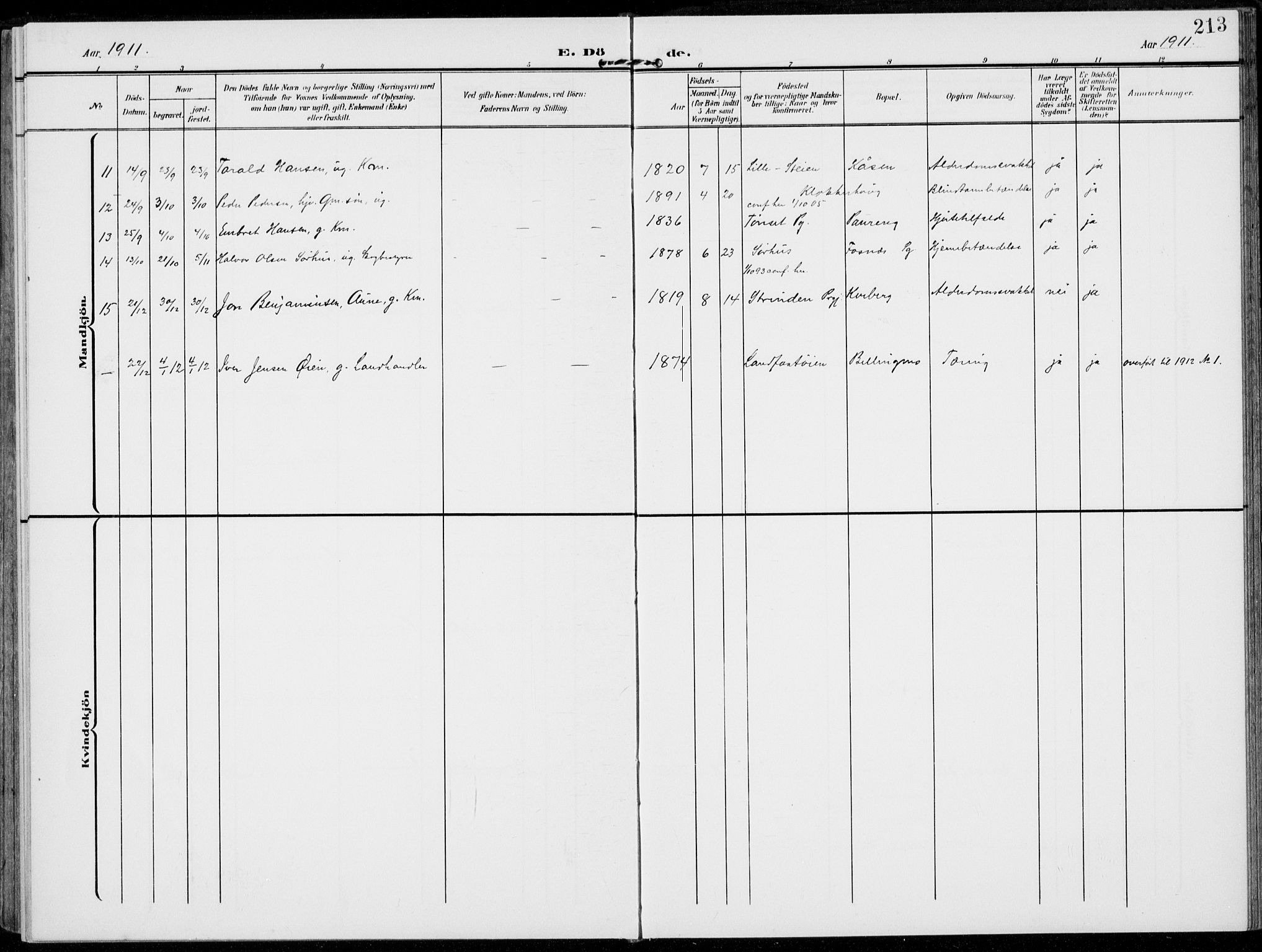 Alvdal prestekontor, SAH/PREST-060/H/Ha/Haa/L0004: Parish register (official) no. 4, 1907-1919, p. 213
